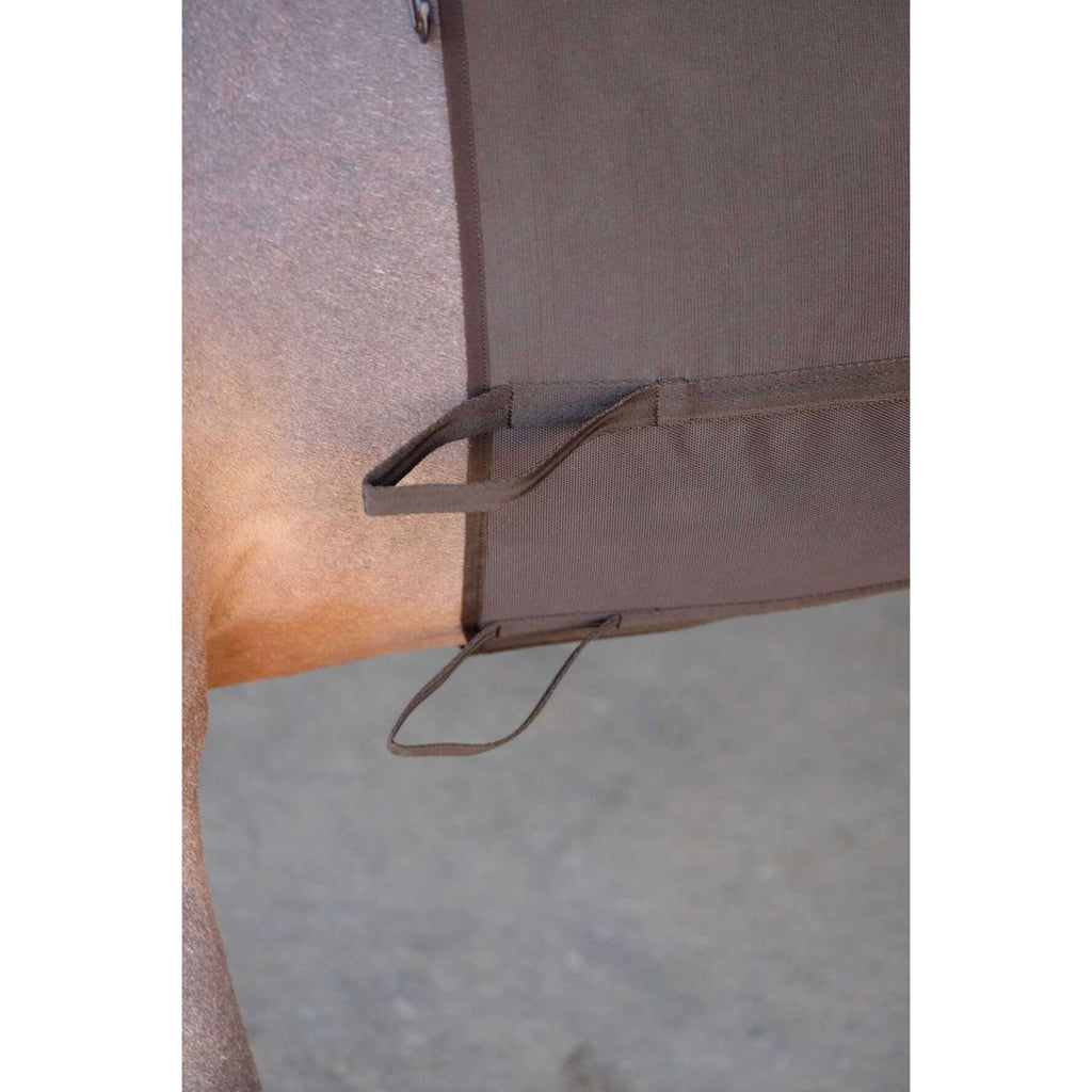 Norton Fascia Addominale Marrone