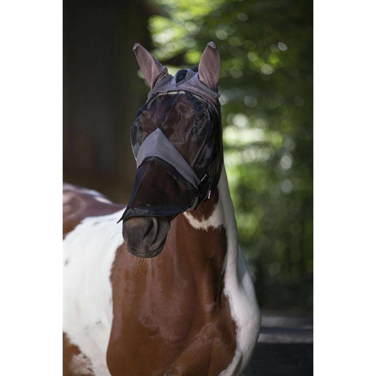 EQUITHÈME Maschera per Mosche Anti-UV 2IN1 Grigio