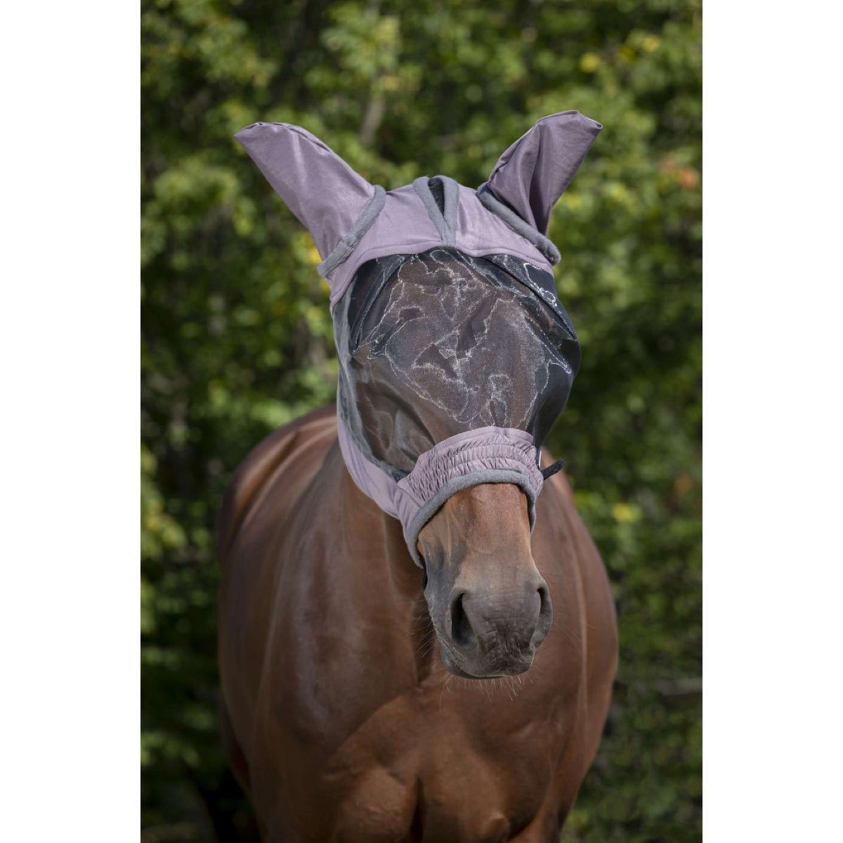 EQUITHÈME Maschera per Mosche Anti-UV Doux Grigio