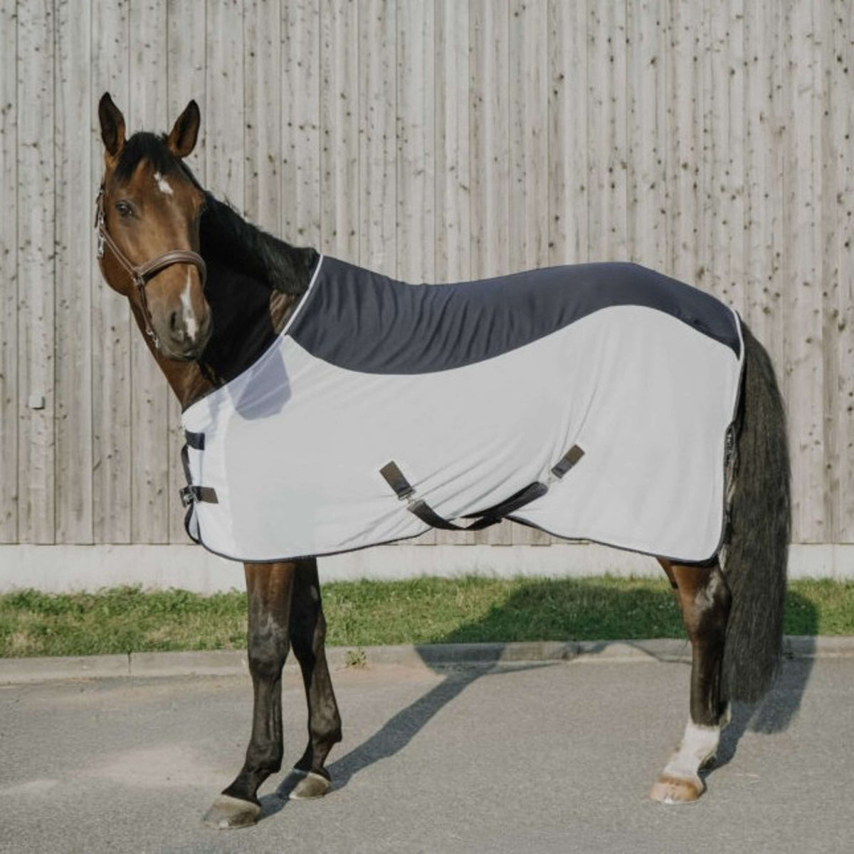 EQUITHÈME Coperta Antimosche Flycool Standard Blu marino/bianco