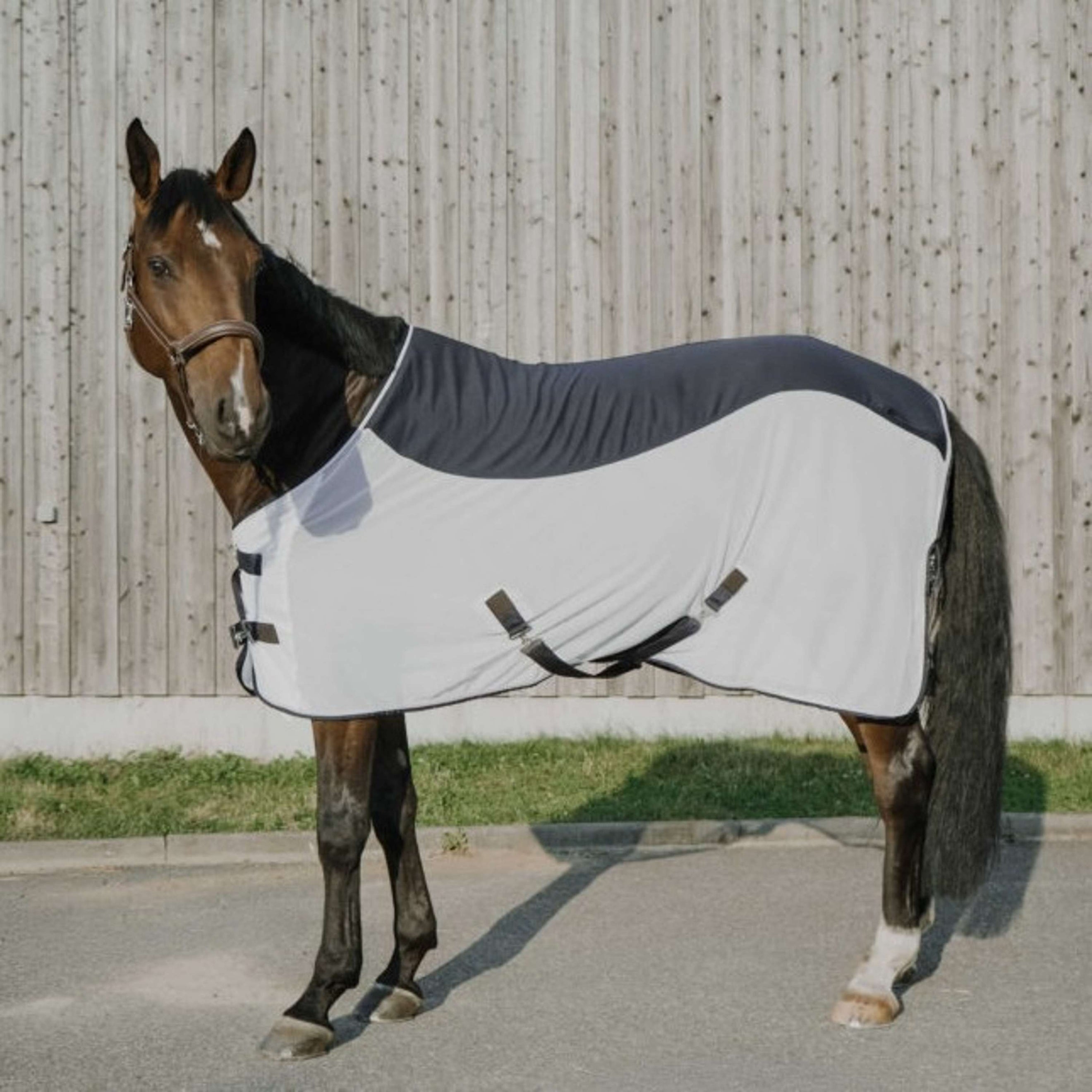 EQUITHÈME Coperta Antimosche Flycool Standard Blu marino/bianco