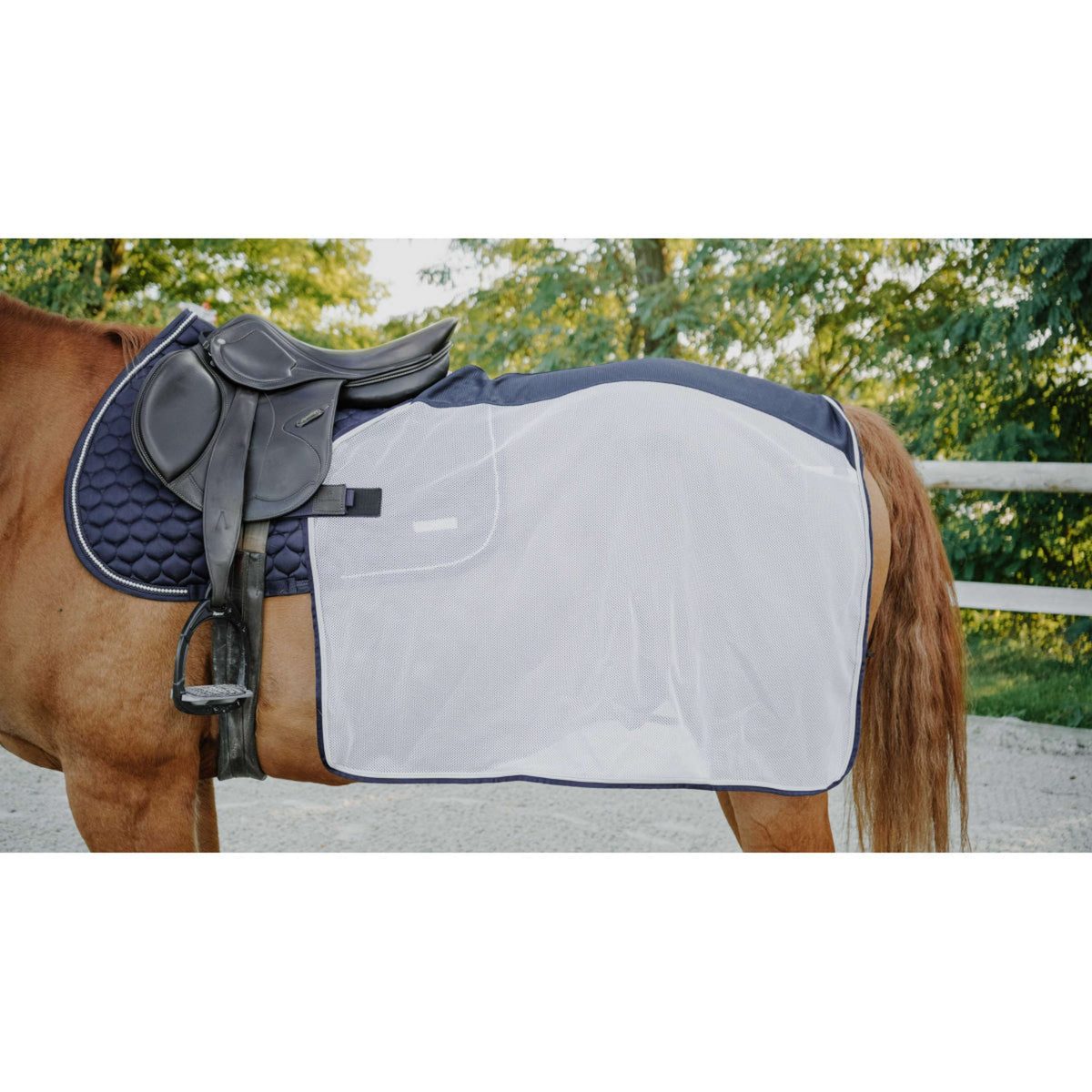EQUITHÈME Coperta da esercizio Flycool square Blu marino/bianco