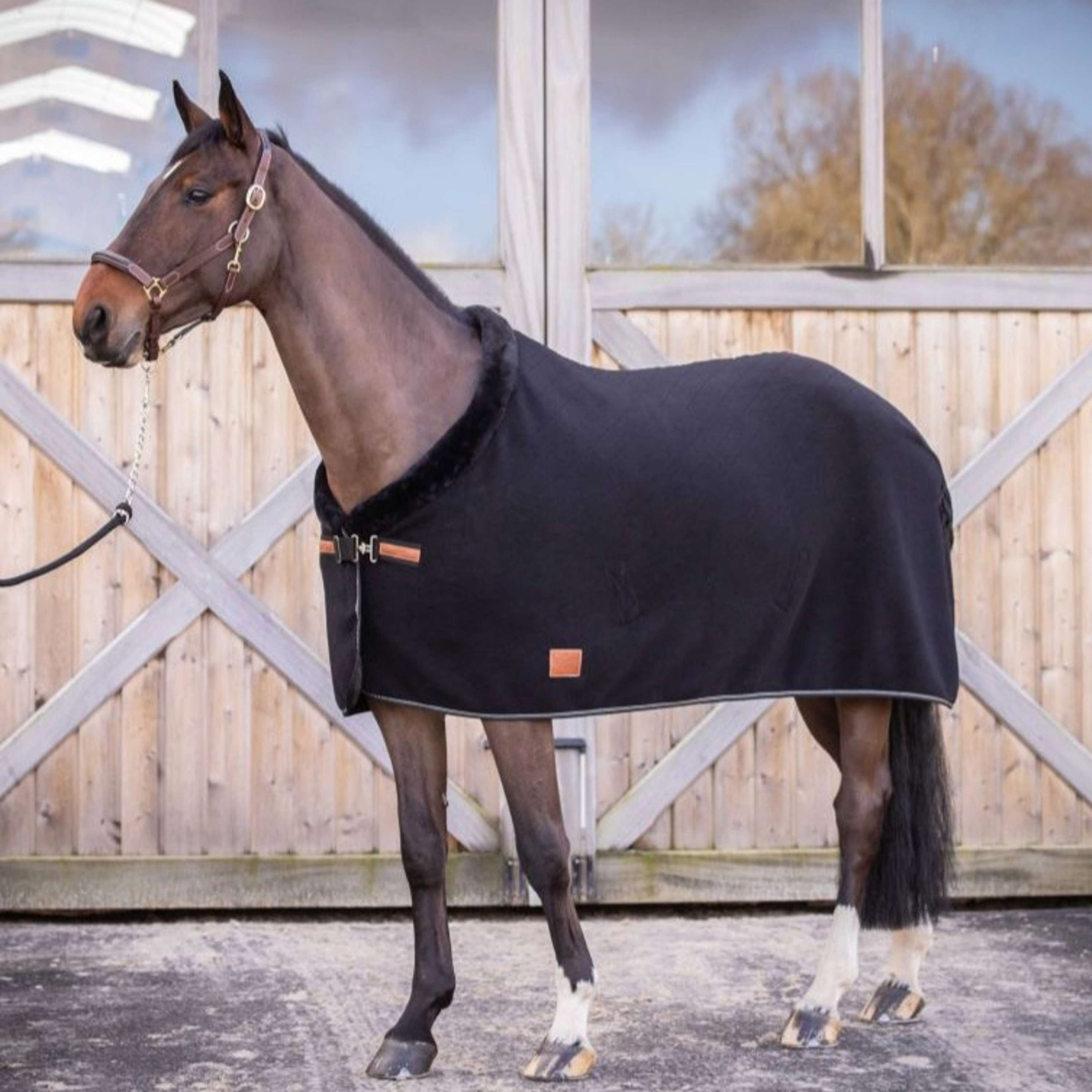 Paddock Coperta antisudore Diagonal Nero