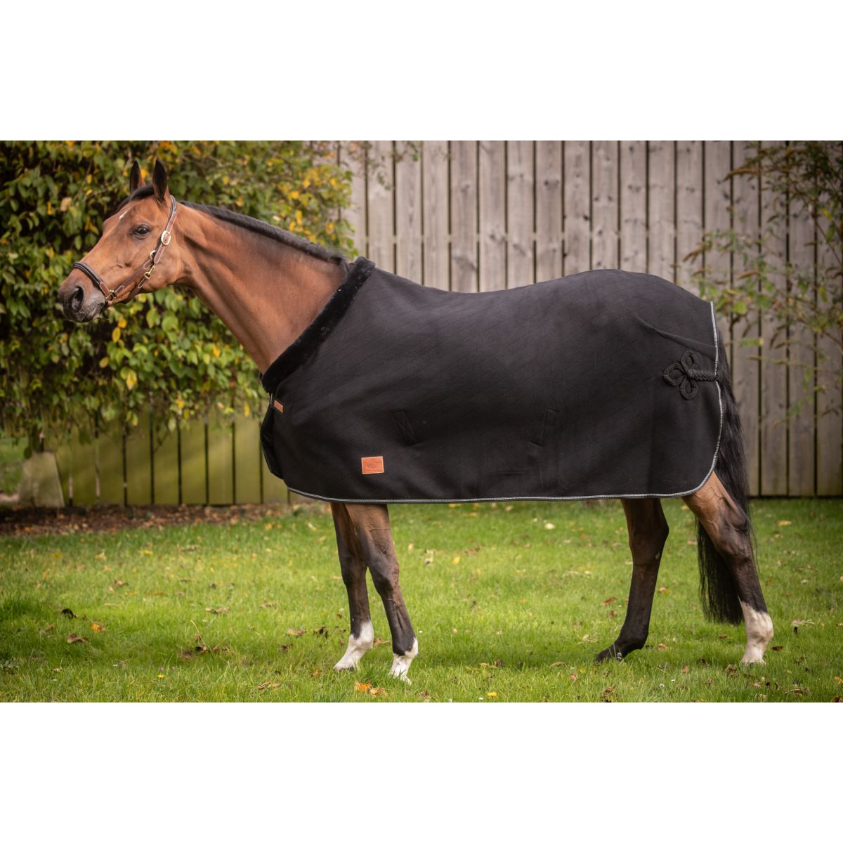 Paddock Coperta antisudore Diagonal Nero