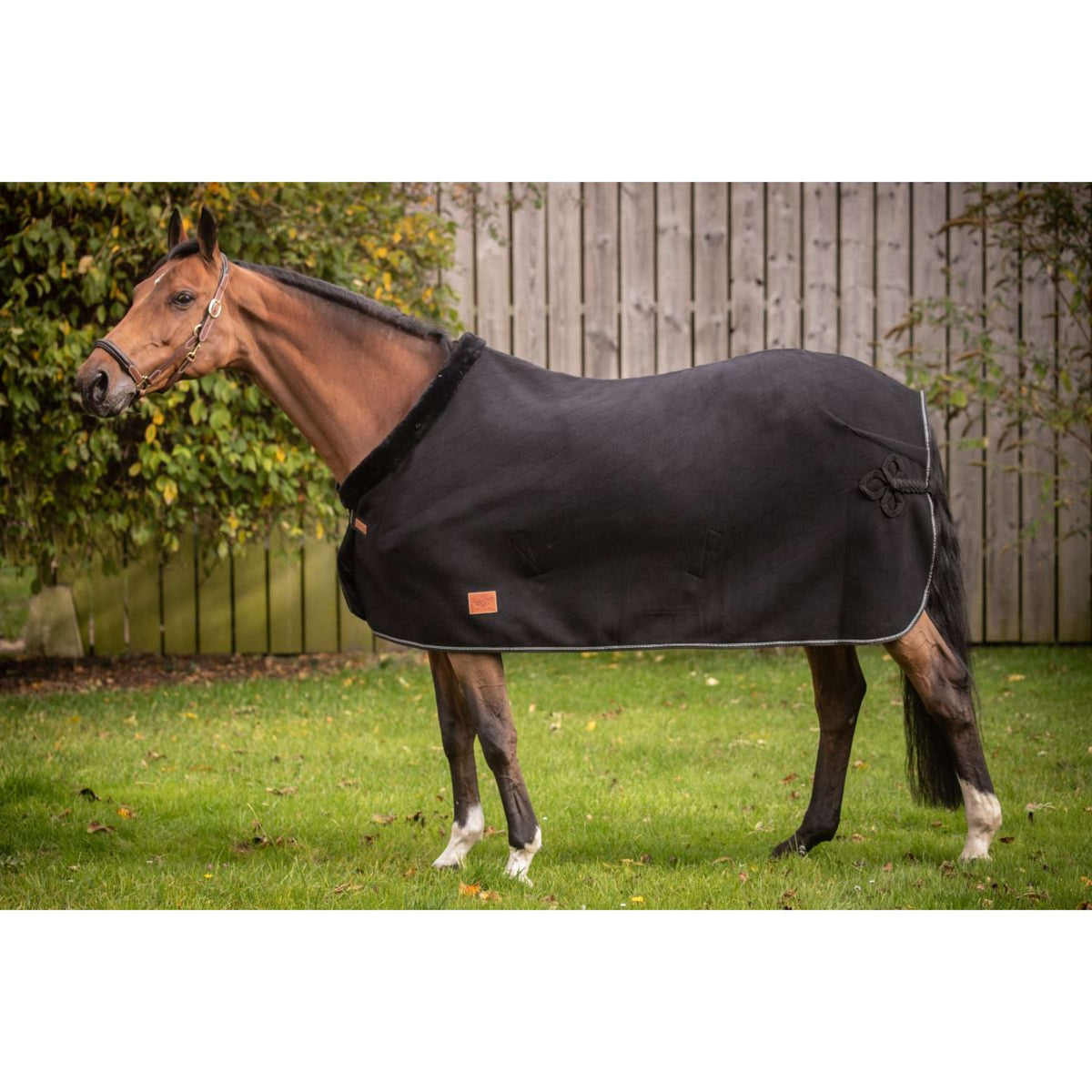 Paddock Coperta antisudore Diagonal Nero