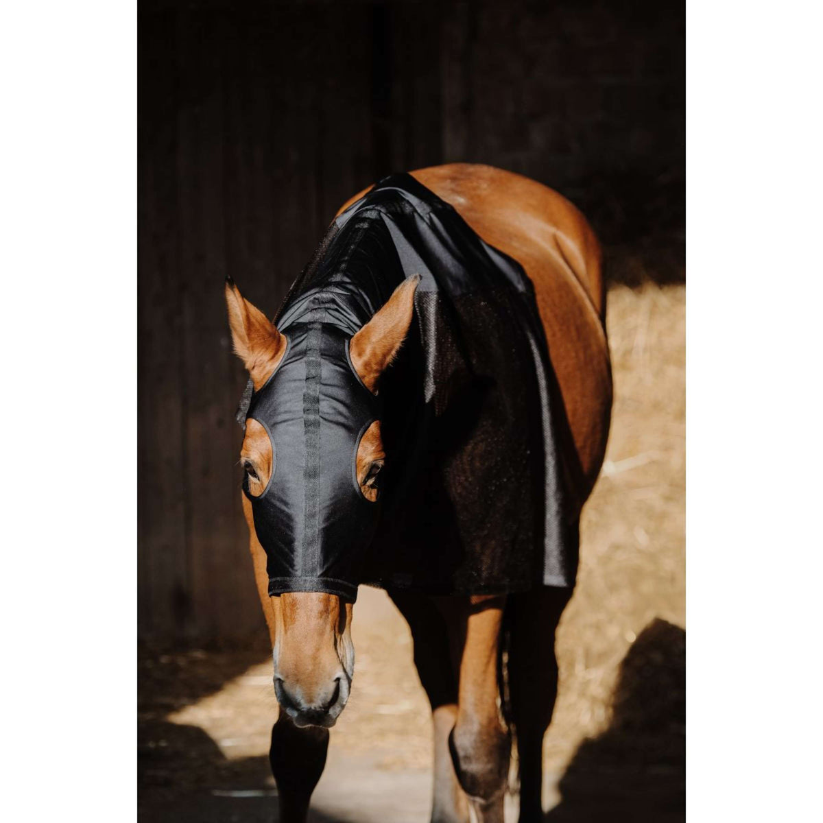 EQUITHÈME Protezione per il collo Lycra/Mesh Nero