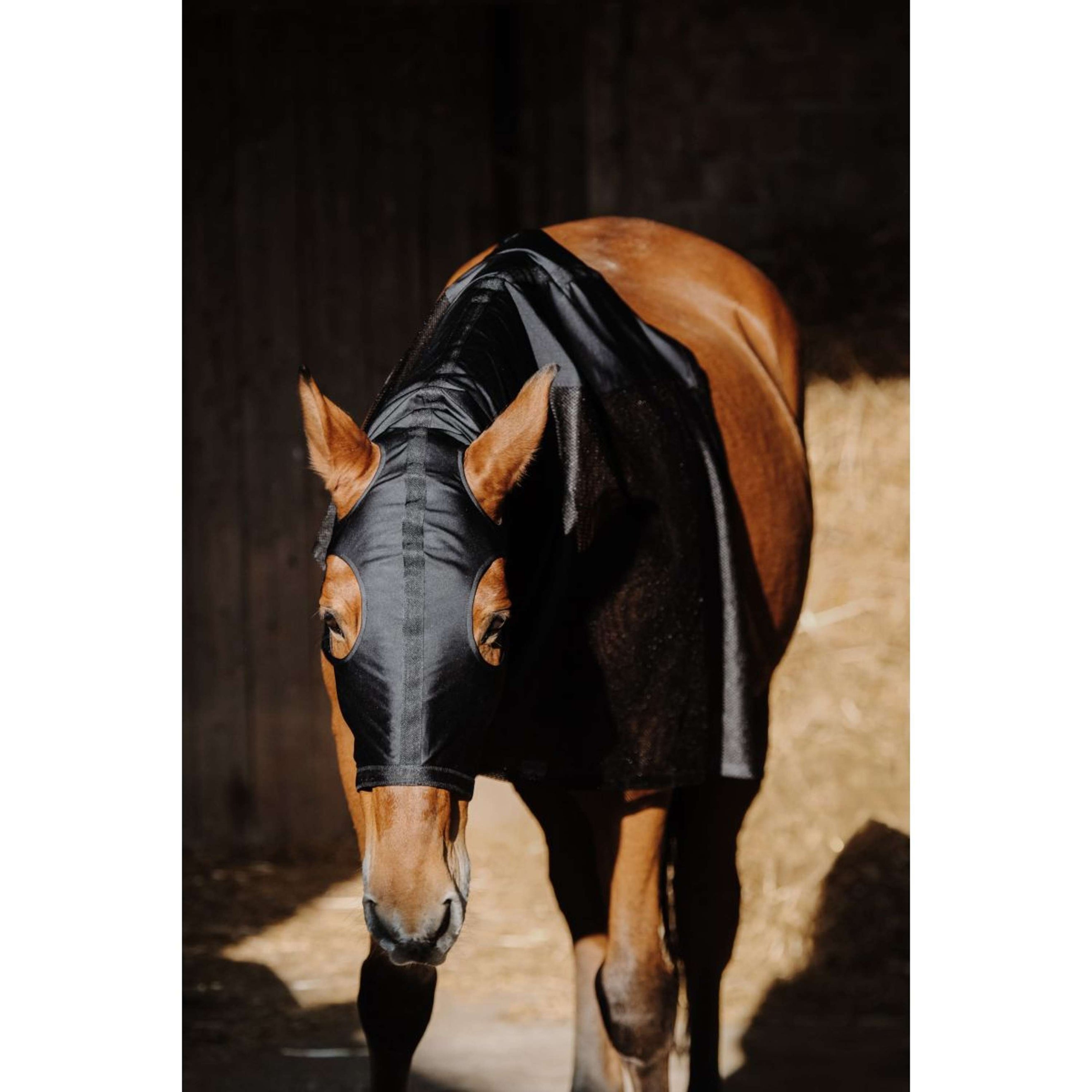 EQUITHÈME Protezione per il collo Lycra/Mesh Nero