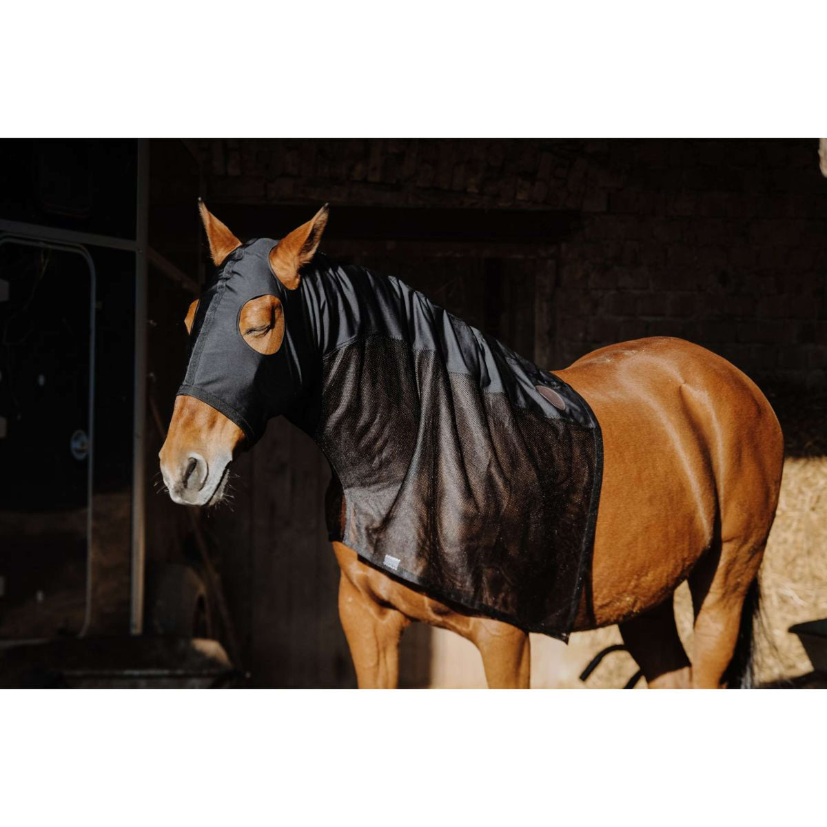 EQUITHÈME Protezione per il collo Lycra/Mesh Nero