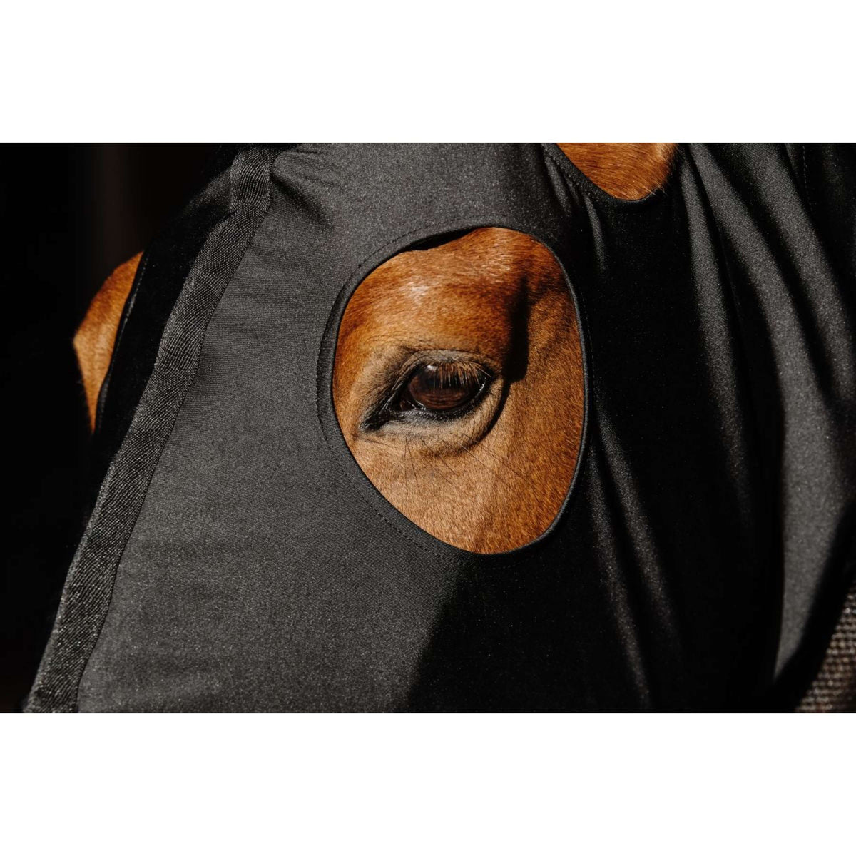 EQUITHÈME Protezione per il collo Lycra/Mesh Nero