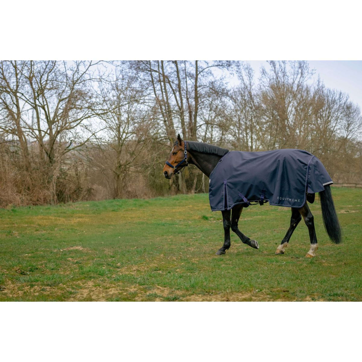 EQUITHÈME Tappeto da Esterno Anatomic 1200D 100g Navy