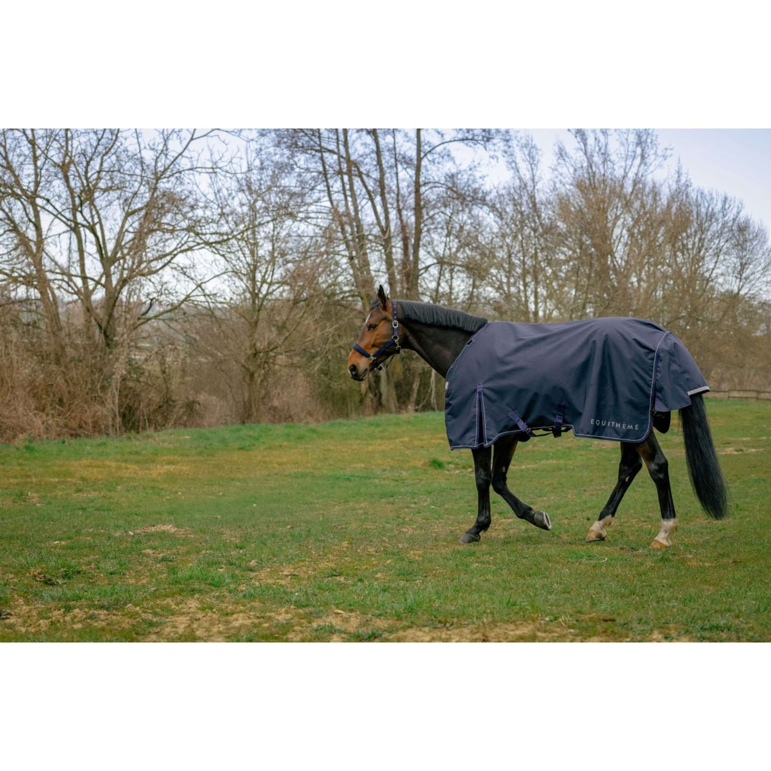EQUITHÈME Tappeto da Esterno Anatomic 1200D 50 g Navy
