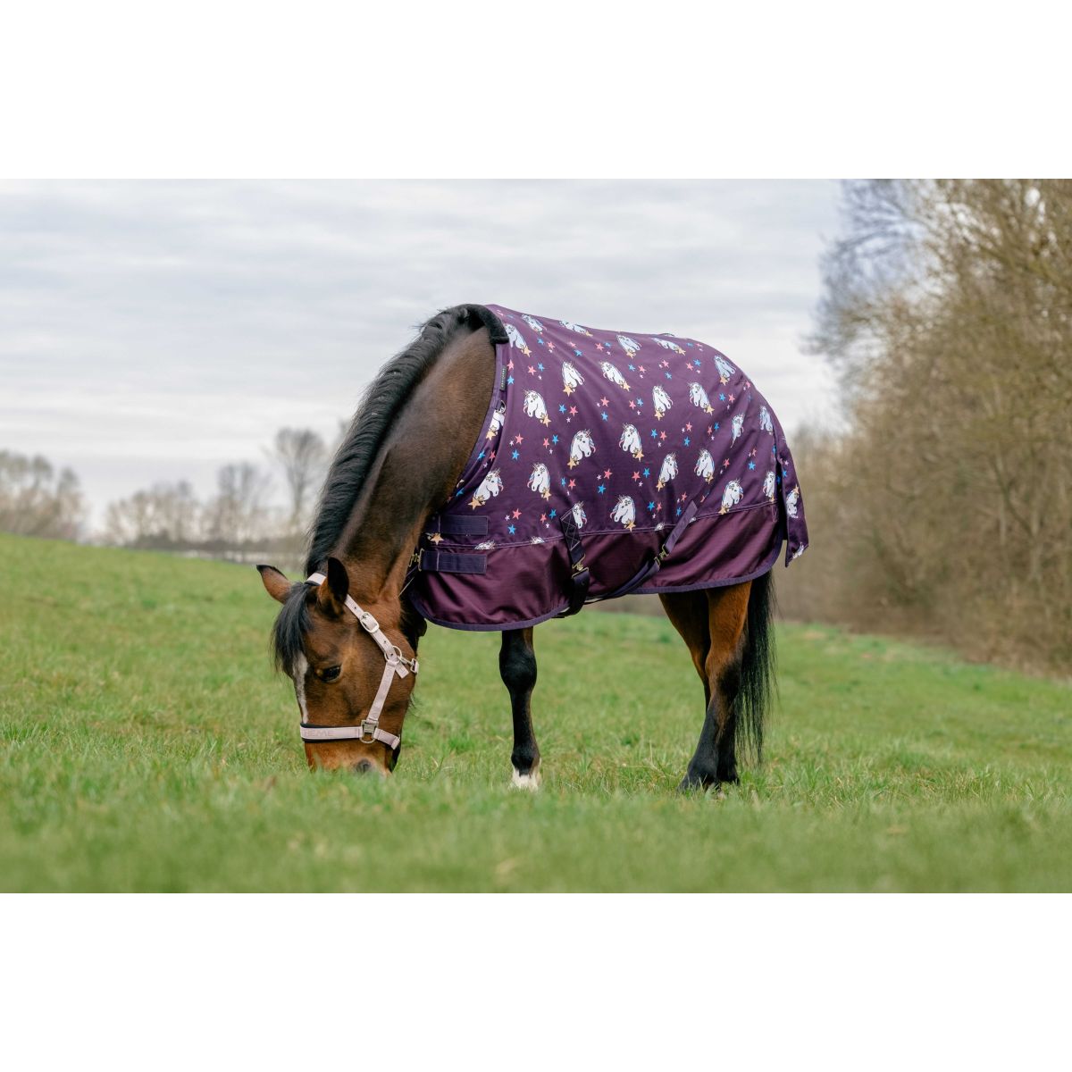 EQUITHÈME Coperta Turnout Unicorn 600D 0g Prugna