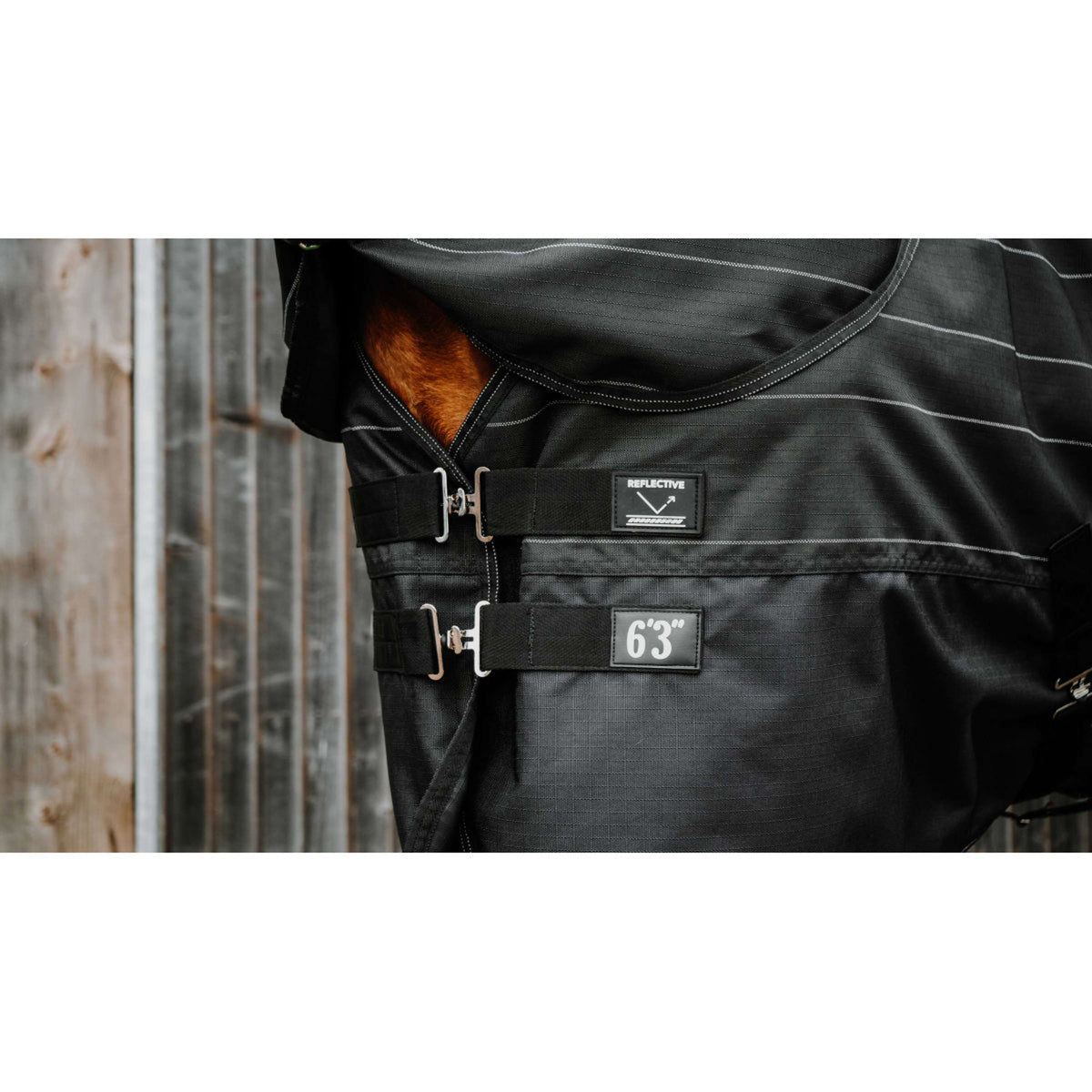 EQUITHÈME Coperta Impermeabile Lumin 600D 50g Nero