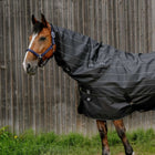 EQUITHÈME Copricollo TYREX Lumin 600D 0g Nero