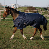 EQUITHÈME Tappeto Classic 600D 0 g Navy