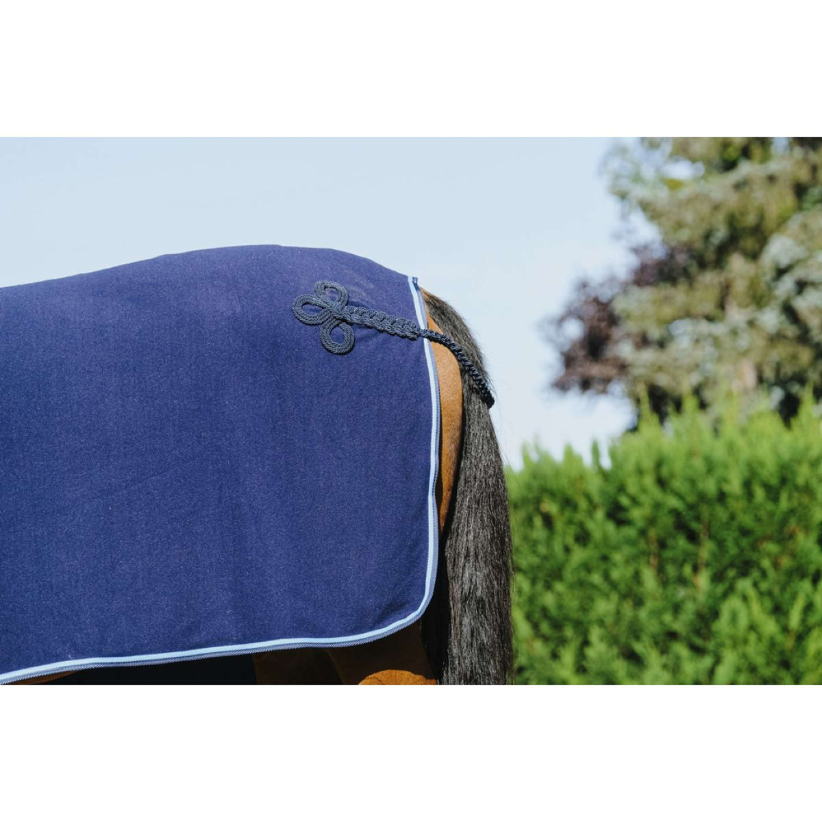 Riding World Coperta da esposizione Navy