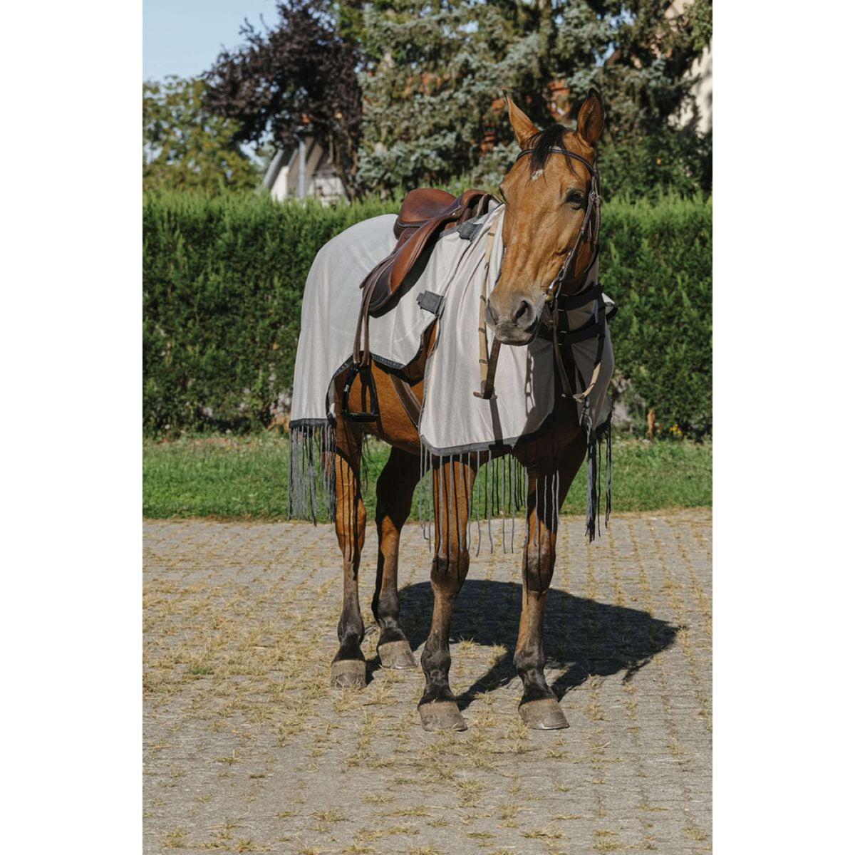 Riding World Coperta da equitazione anti-mosche Mesh Grigio