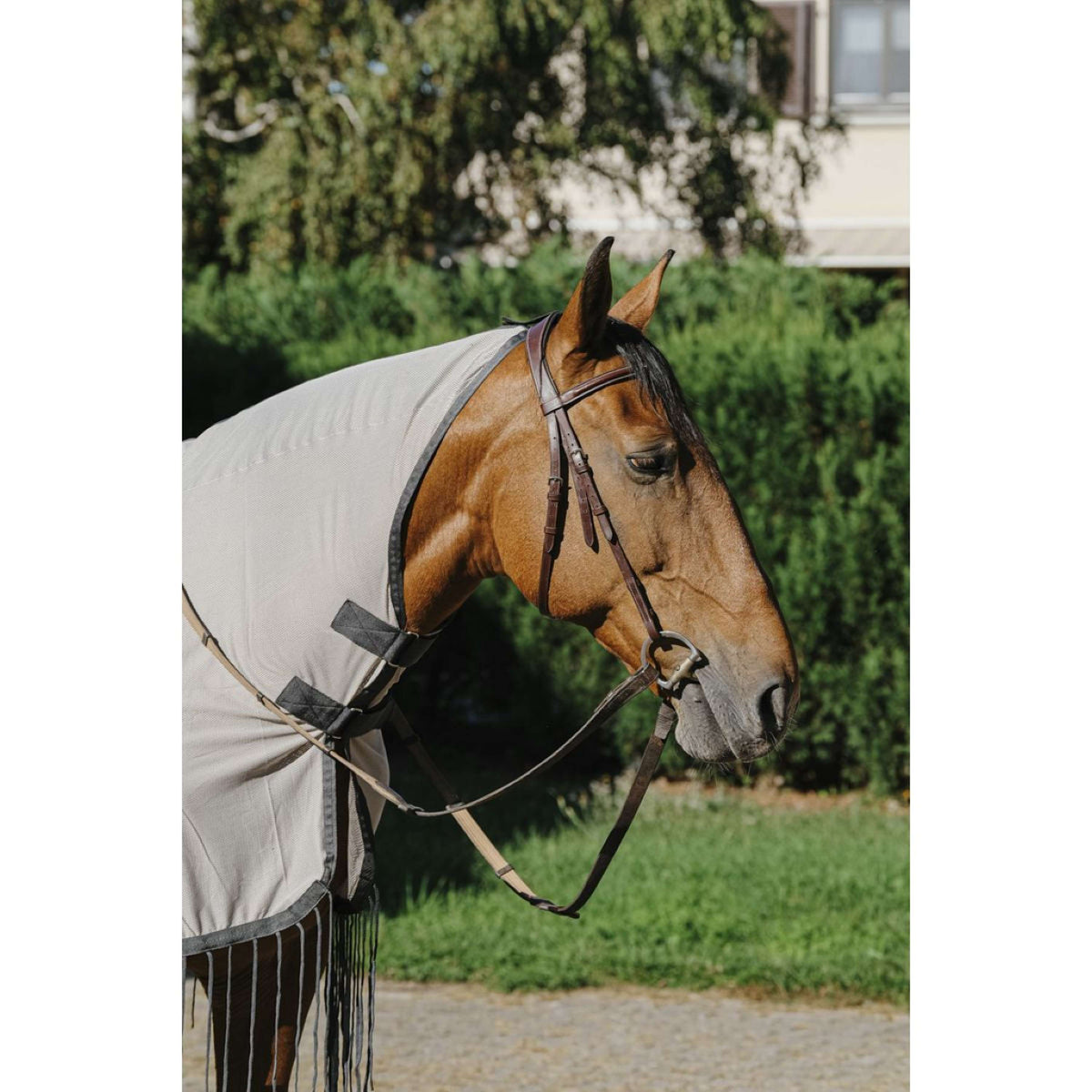 Riding World Coperta da equitazione anti-mosche Mesh Grigio