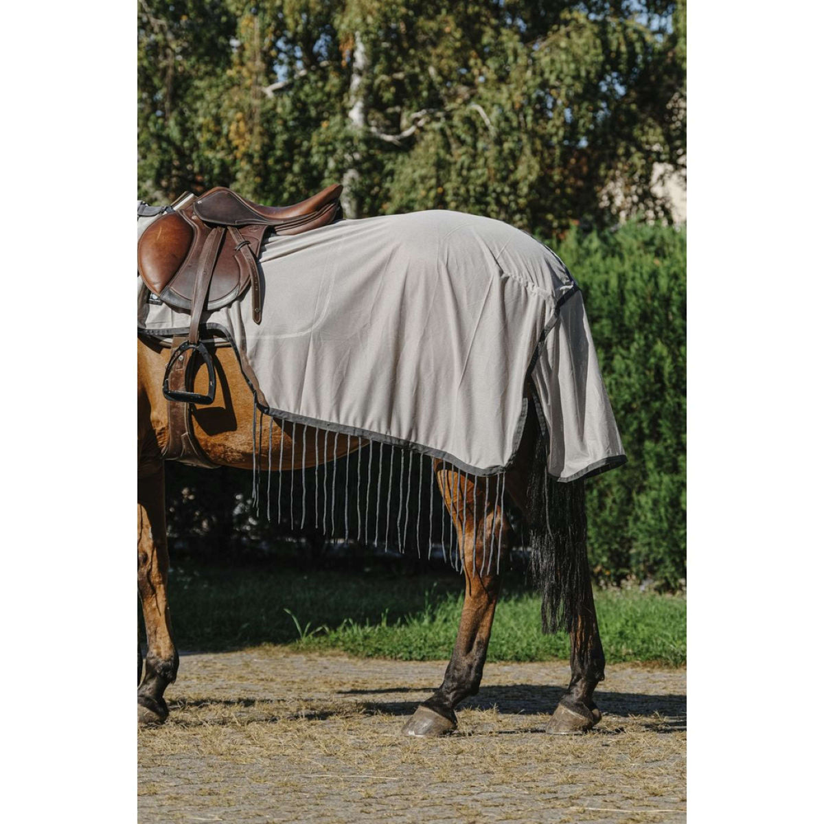 Riding World Coperta da equitazione anti-mosche Mesh Grigio