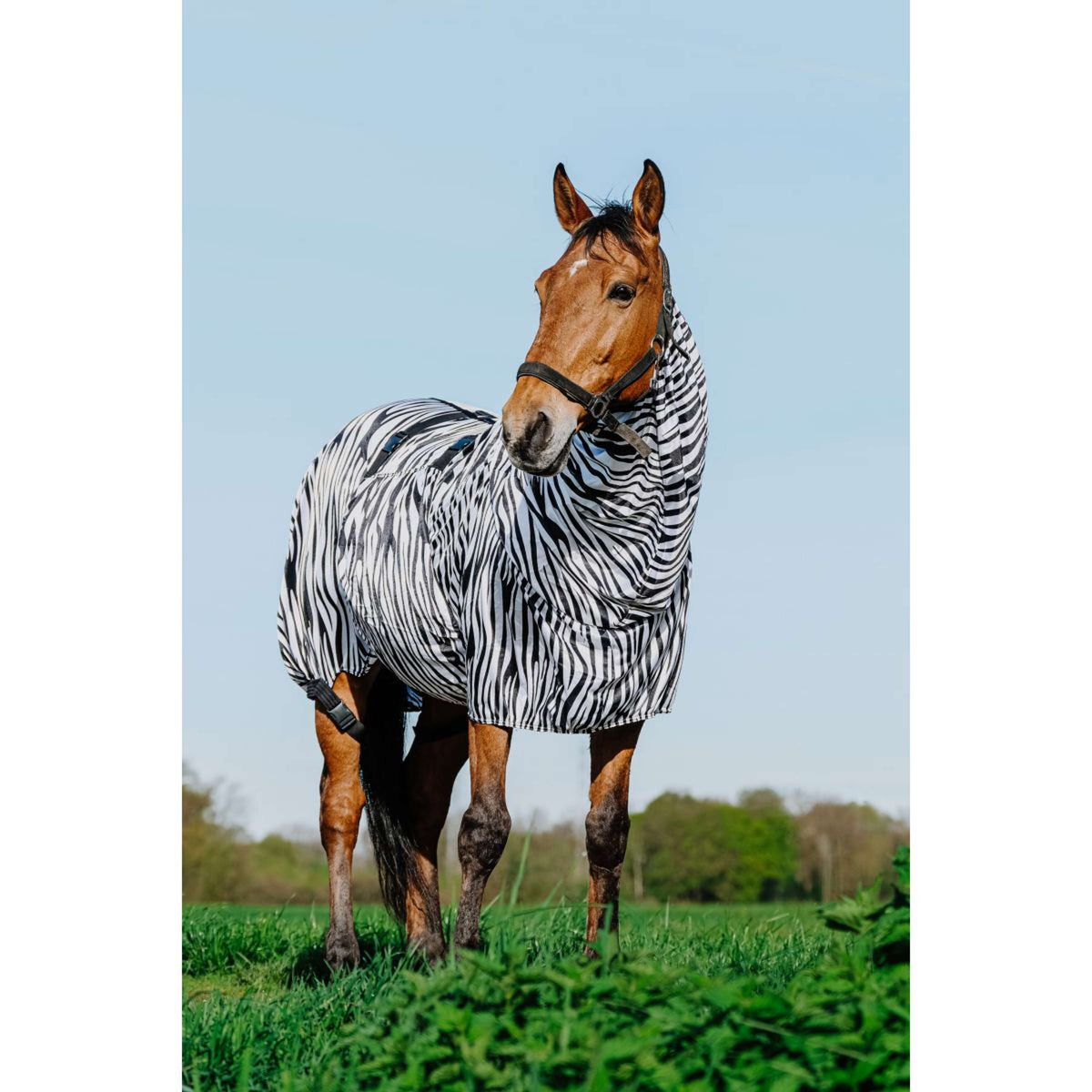 Riding World Coperta per Eczema Zebra
