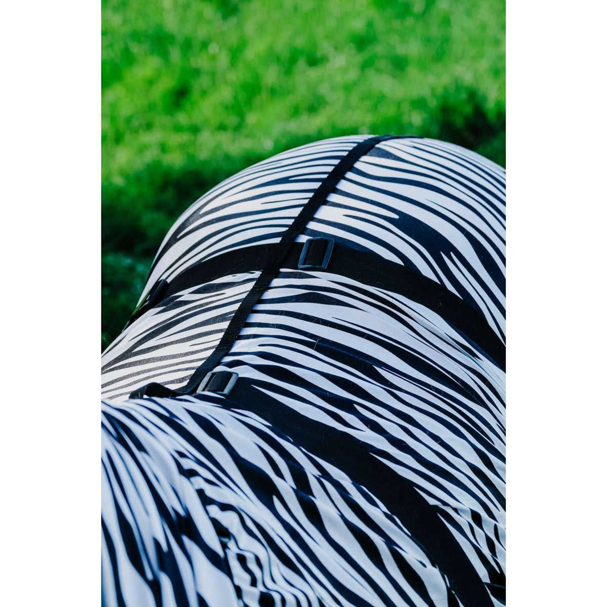 Riding World Coperta per Eczema Zebra