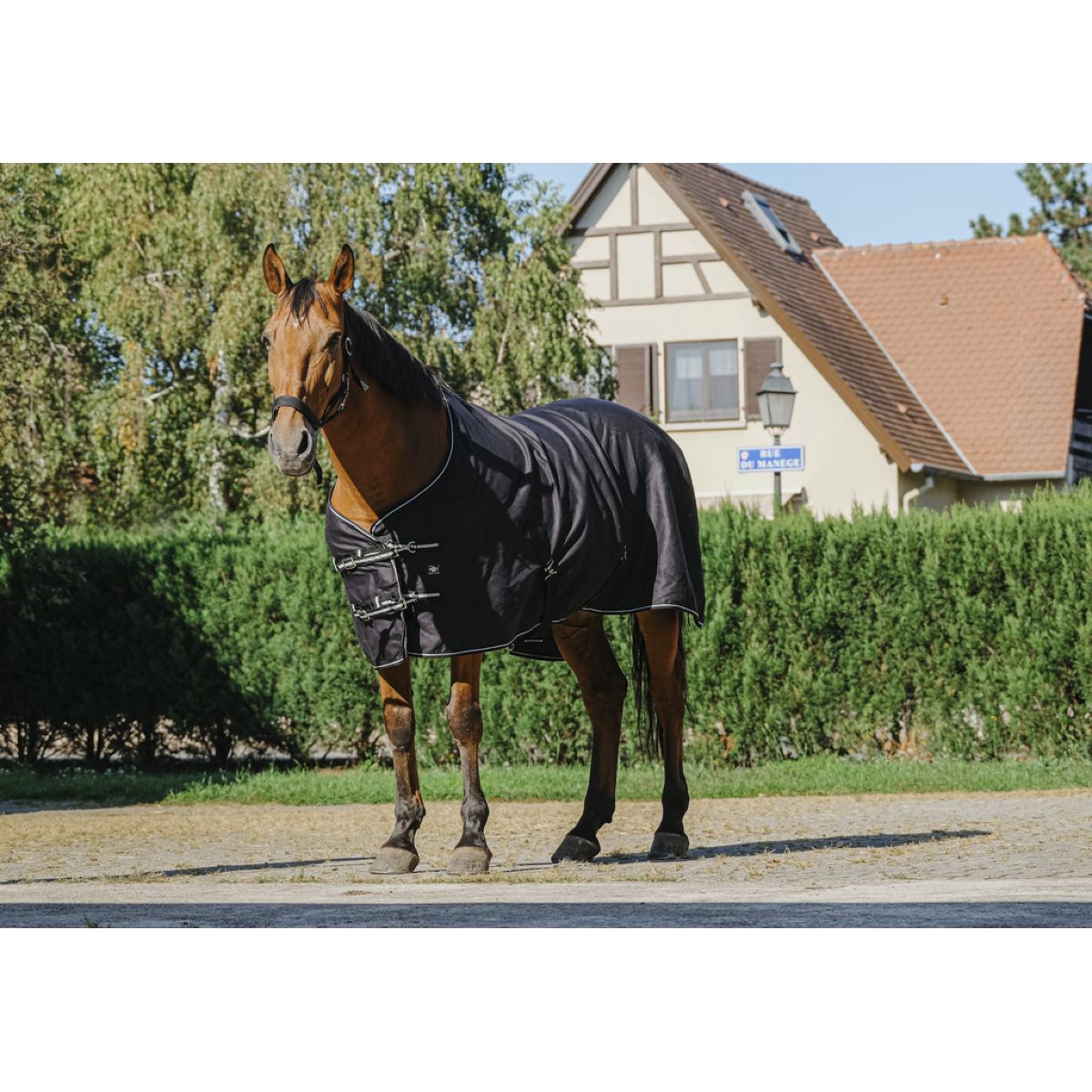 Riding World Coperta Estiva Brillante Nero