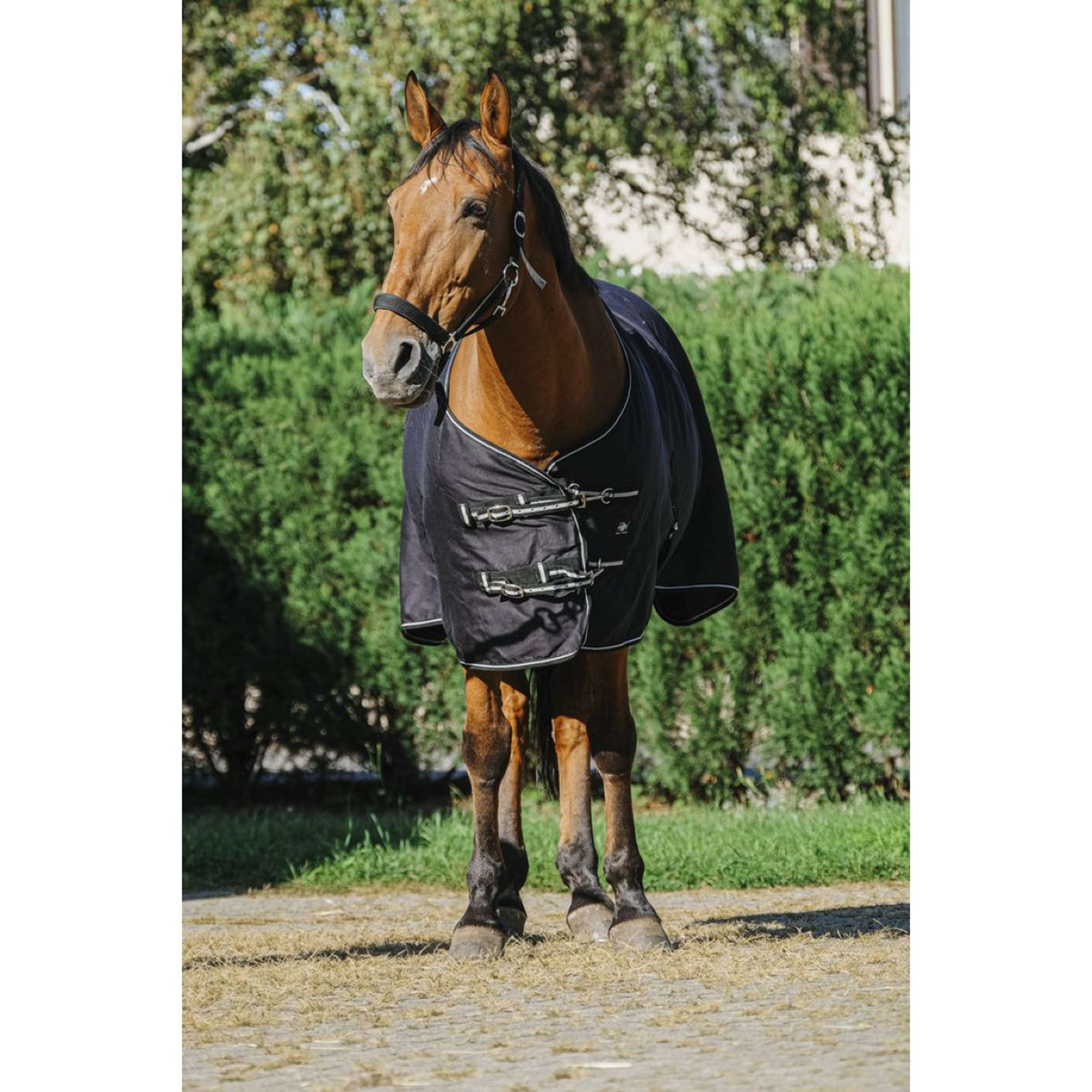 Riding World Coperta Estiva Brillante Nero Riding World Coperta Estiva Brillante Nero