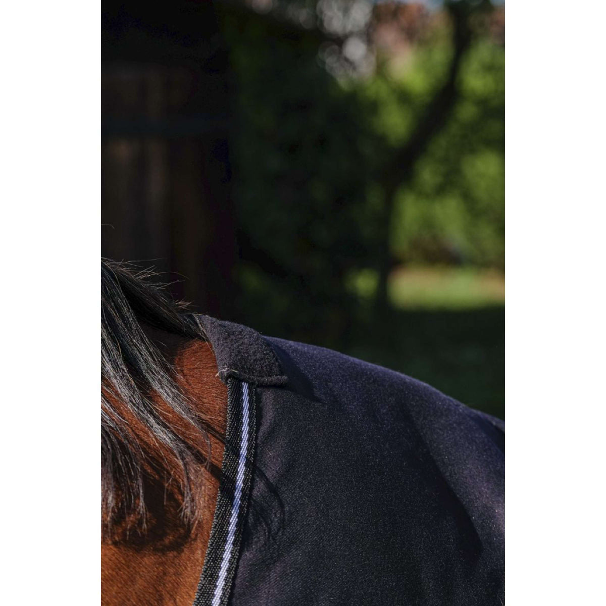 Riding World Coperta Estiva Brillante Nero