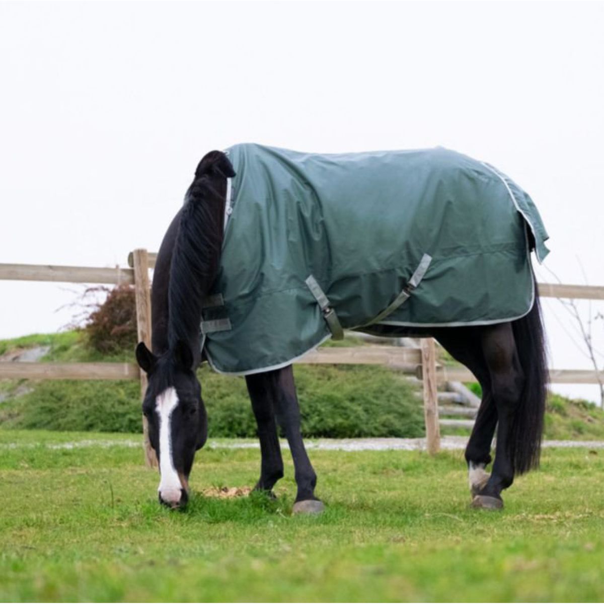 EQUITHÈME Coperta Impermeabile Tyrex 600D 50g Verde