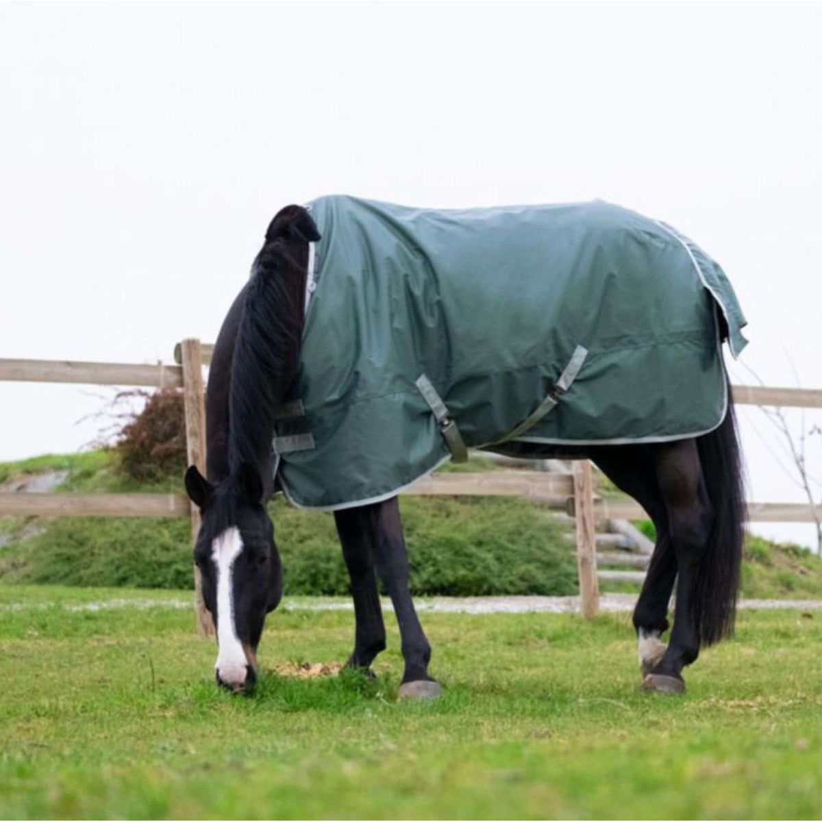 EQUITHÈME Coperta Impermeabile Tyrex 600D 50g Verde