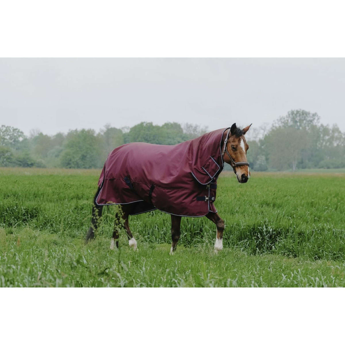 EQUITHÈME Tappeto da Esterno 1200D 200g Combo Borgogna