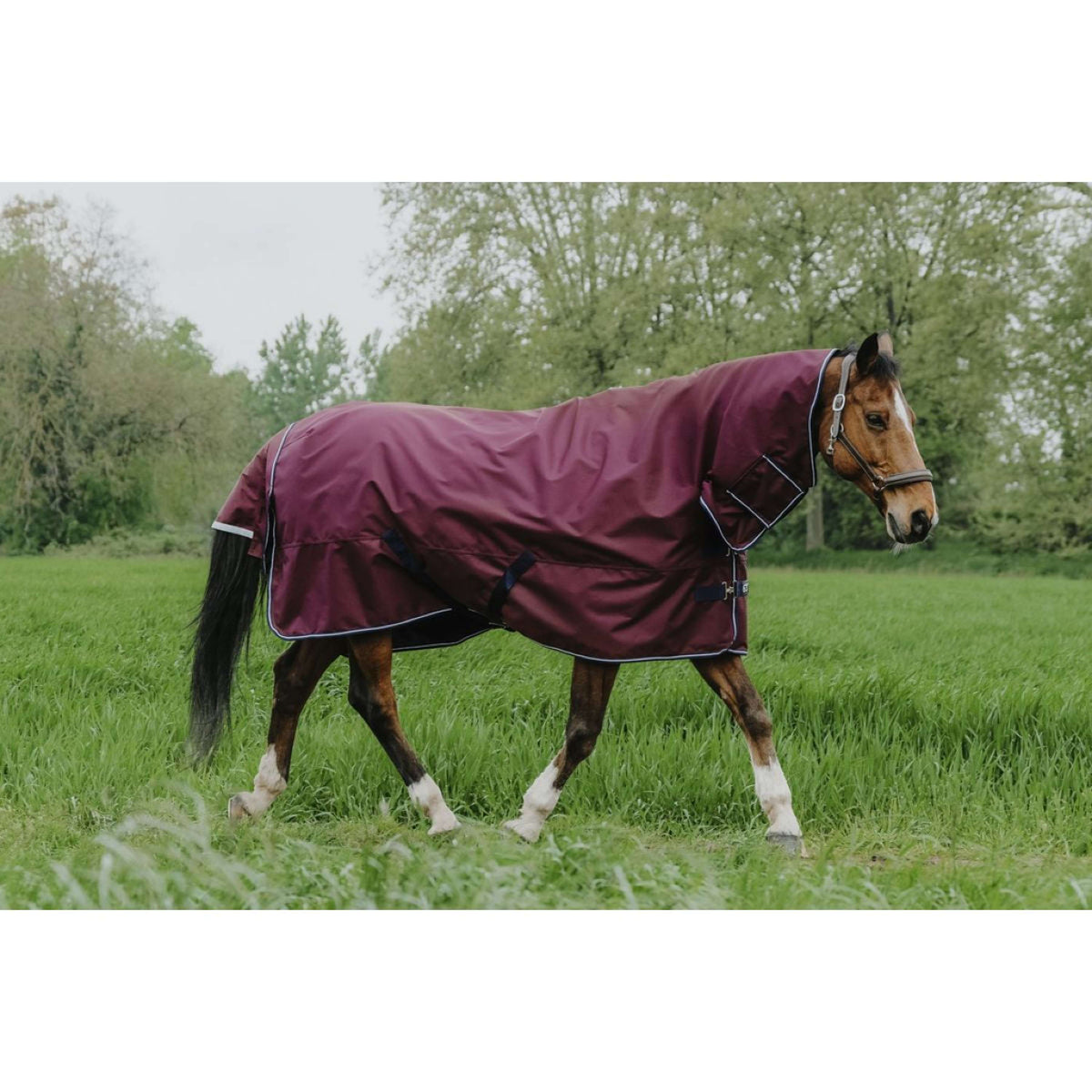 EQUITHÈME Tappeto da Esterno 1200D 200g Combo Borgogna