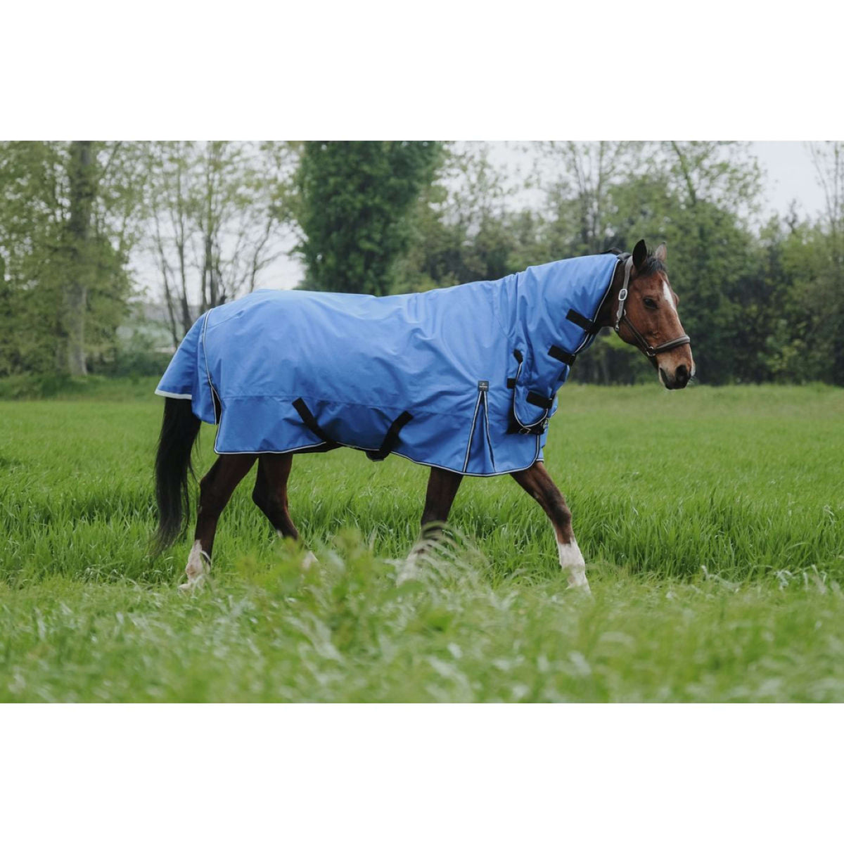 EQUITHÈME Tappeto da Esterno 1200D 300g Aisance Combo Royal Blue