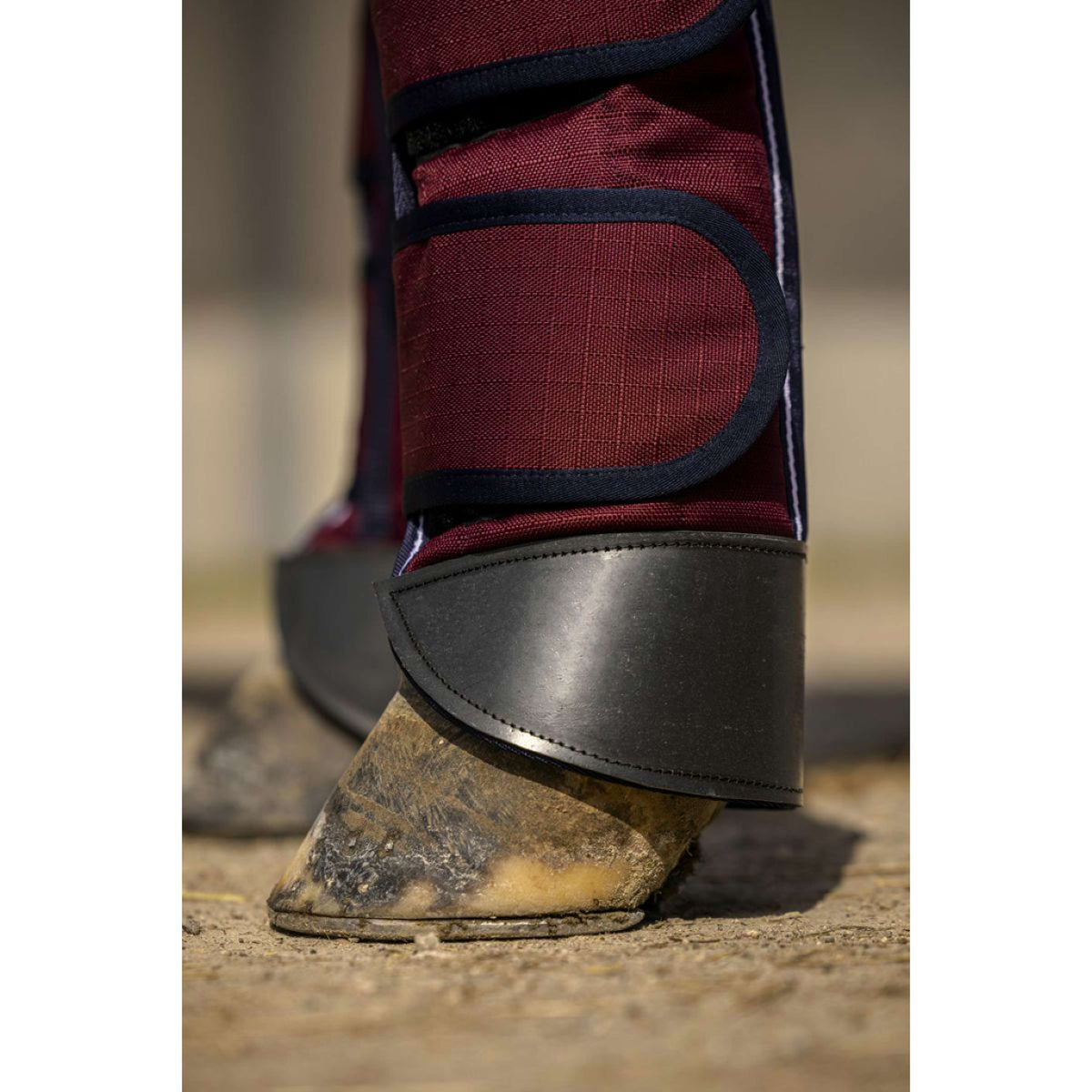 EQUITHÈME Protettori da trasporto 1200D Renforcé Borgogna