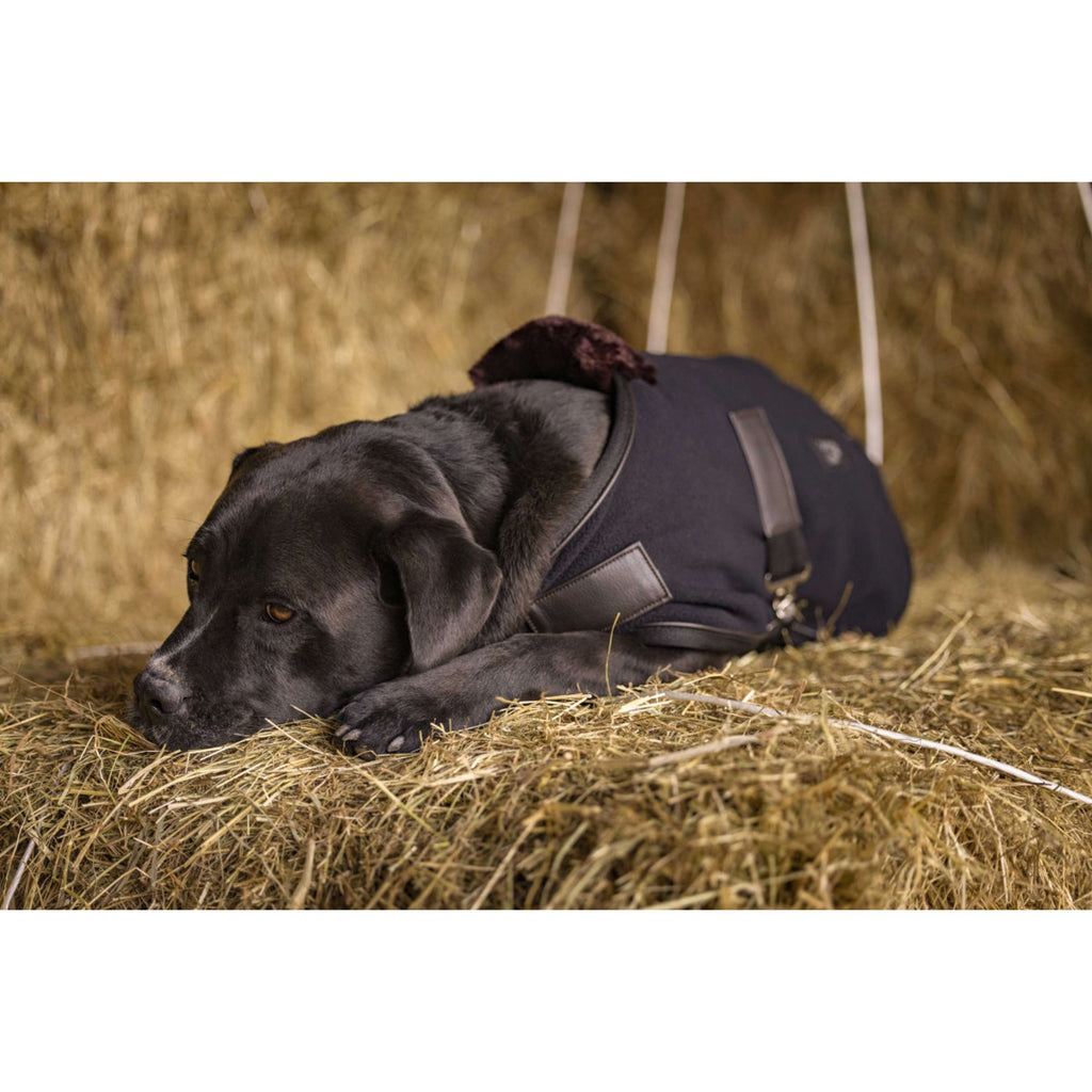 Diego & Louna Coperta per Cani Polar Nero