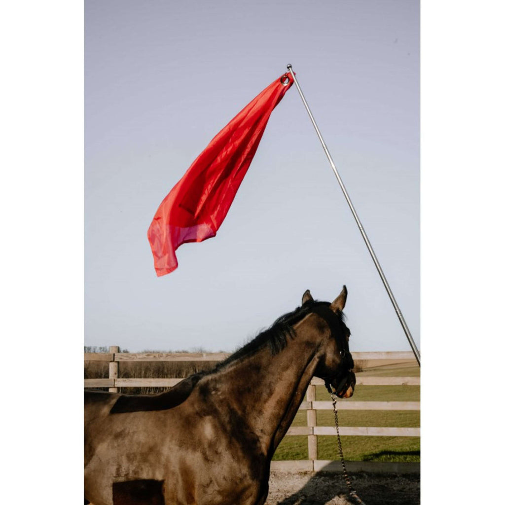 Hippotonic Bastone da allenamento Ethologisch con bandiera Rosso
