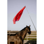 Hippotonic Bastone da allenamento Ethologisch con bandiera Rosso