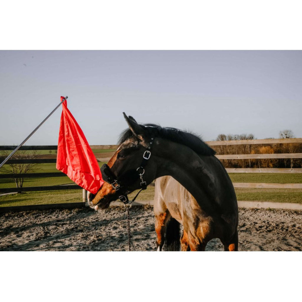 Hippotonic Bastone da allenamento Ethologisch con bandiera Rosso