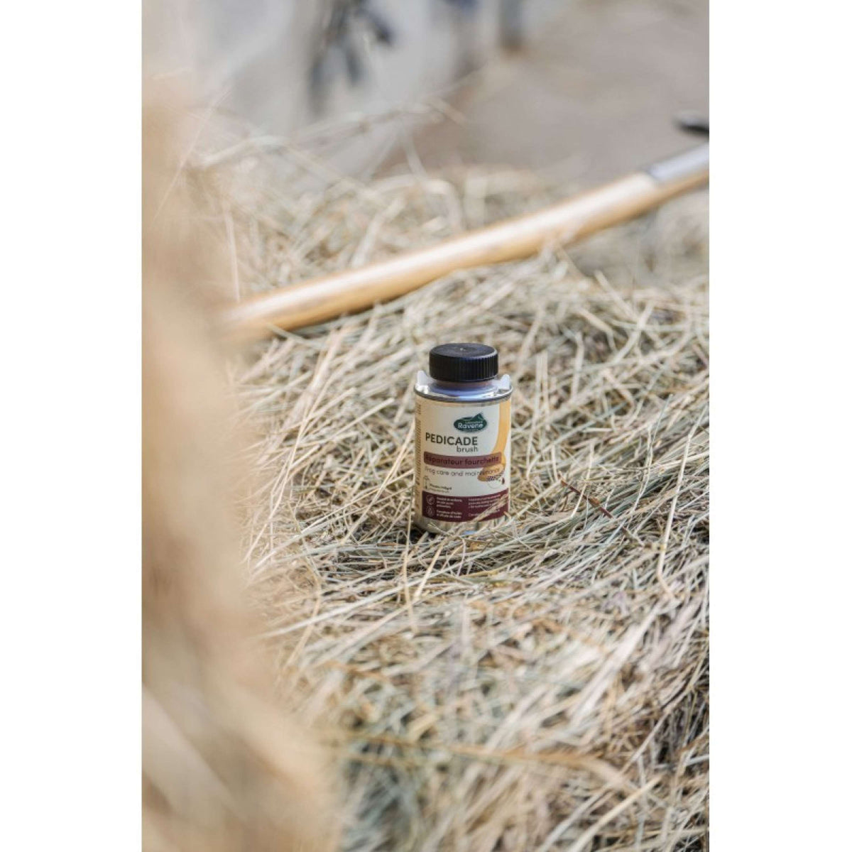 Ravene Pedicade Brush per zoccoli di cavallo