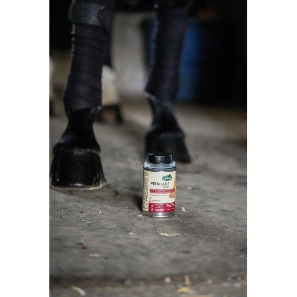 Ravene Pedicade Brush per zoccoli di cavallo