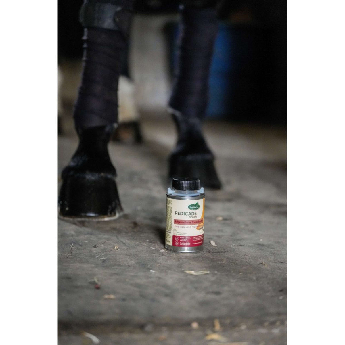 Ravene Pedicade Brush per zoccoli di cavallo