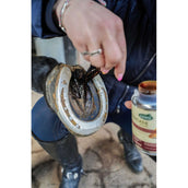 Ravene Pedicade Brush per zoccoli di cavallo