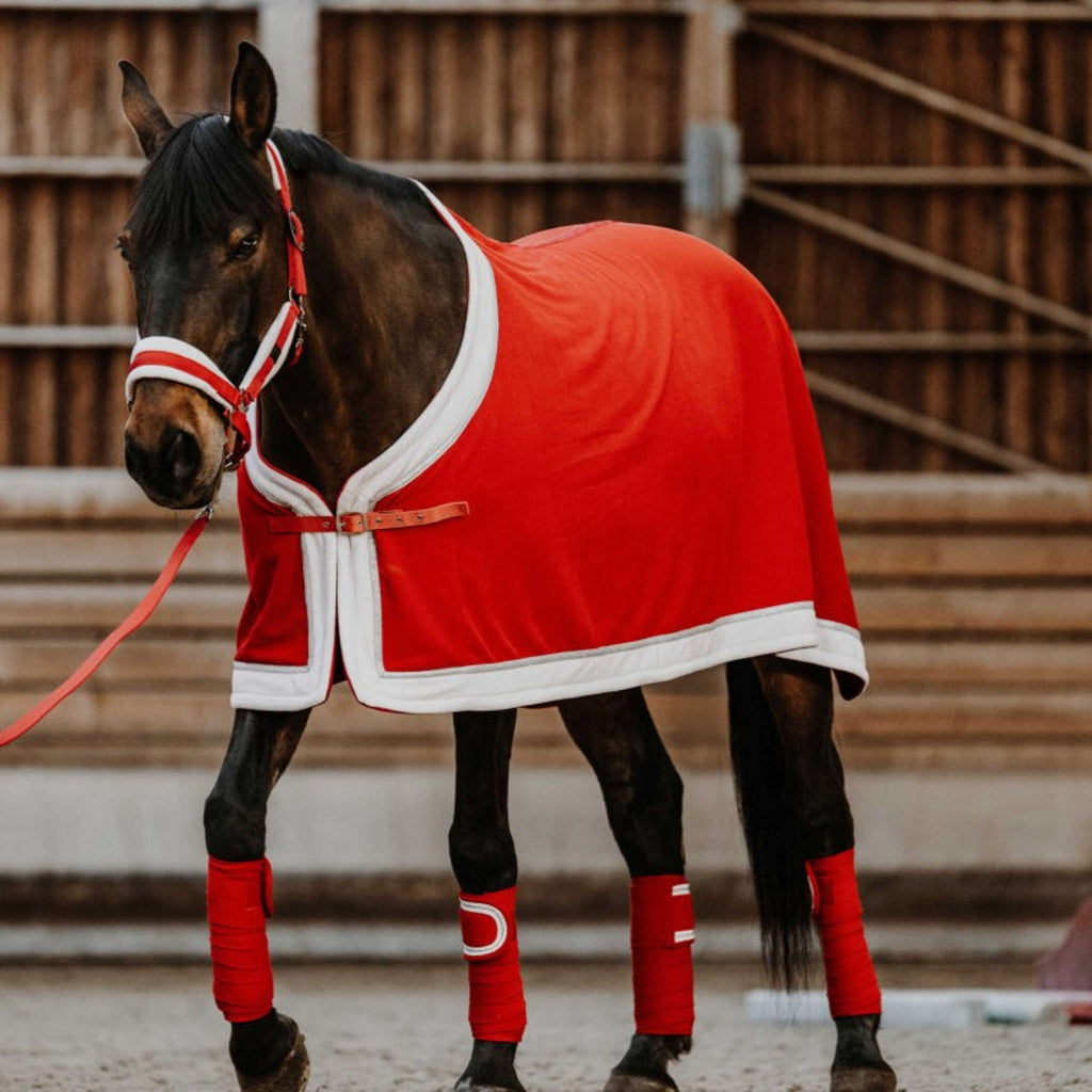 EQUITHÈME Set Cavezza Natale Rosso