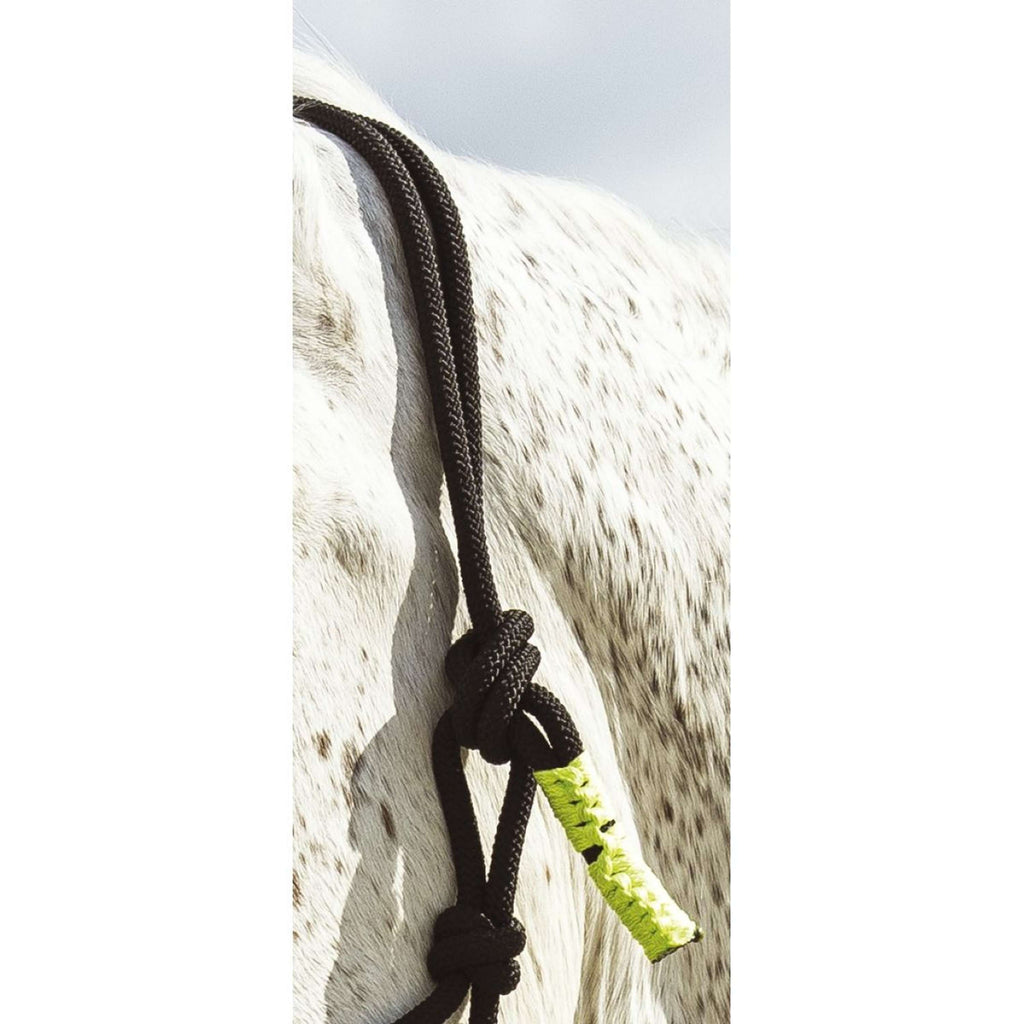 Norton Set Capezzina in Corda Fun Colour Ethologisch Nero/Verde Neon