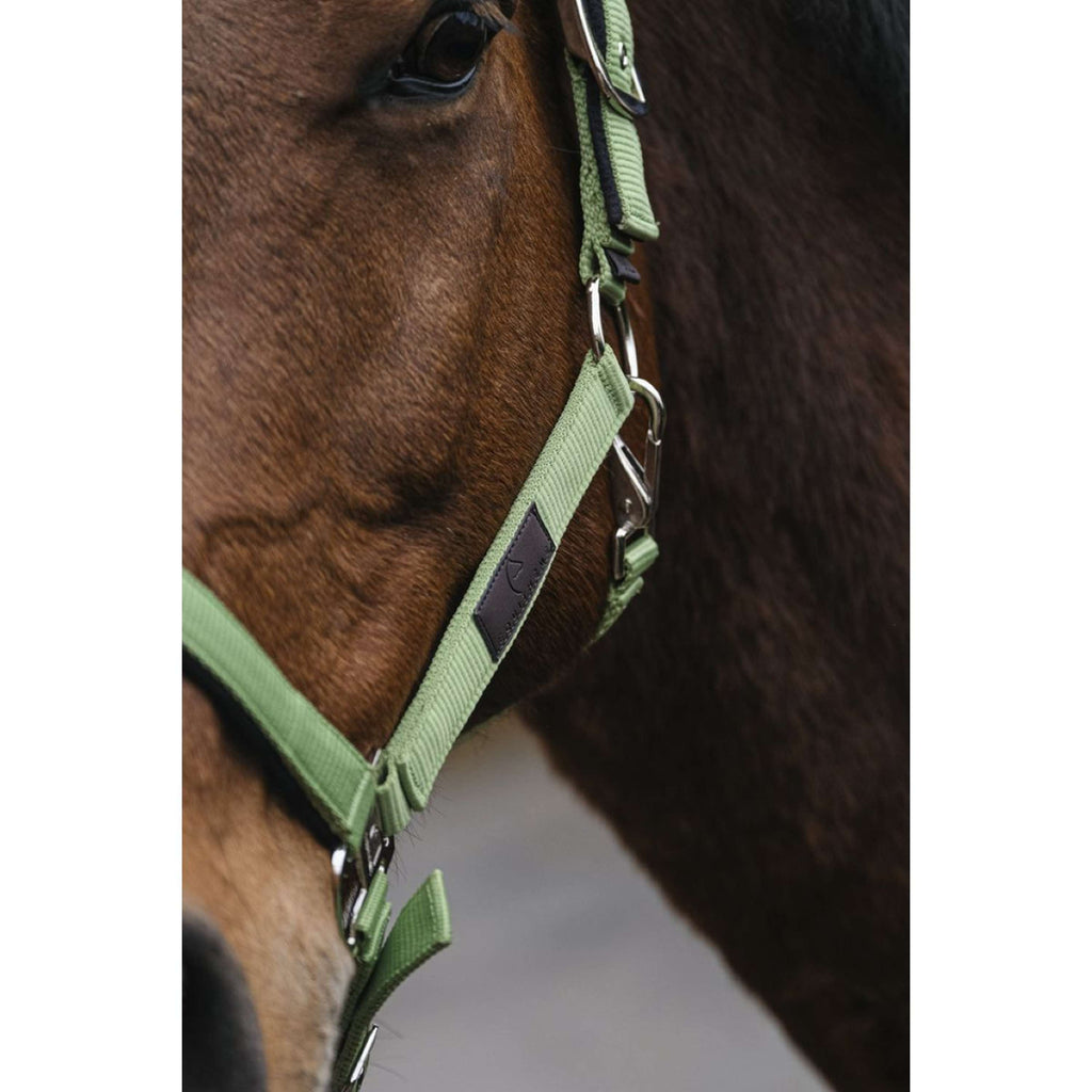EQUITHÈME Cavezza Spring Nylon Verde chiaro