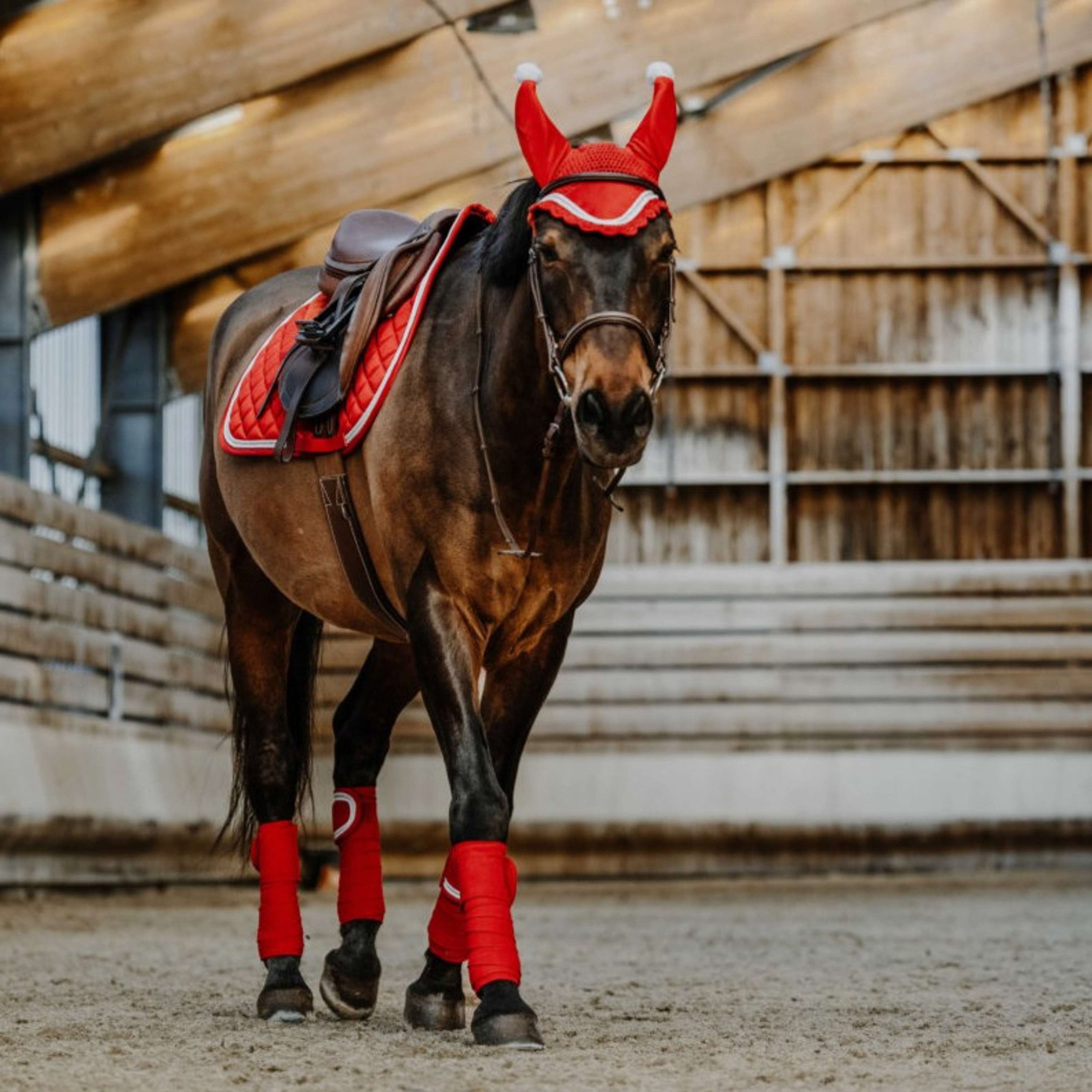 EQUITHÈME Bende Natale Rosso