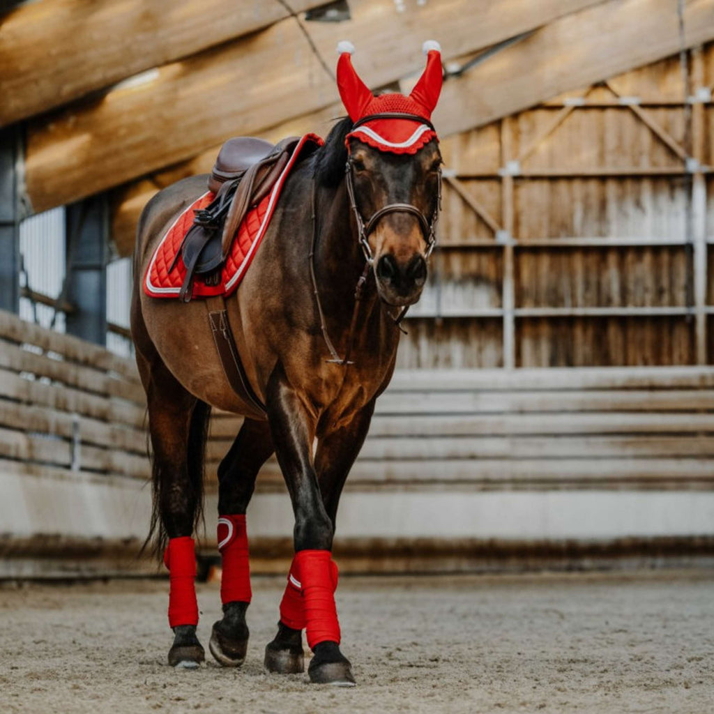 EQUITHÈME Bende Natale Rosso