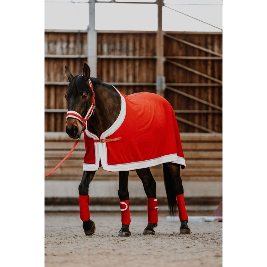 EQUITHÈME Set Cavezza Natale Rosso