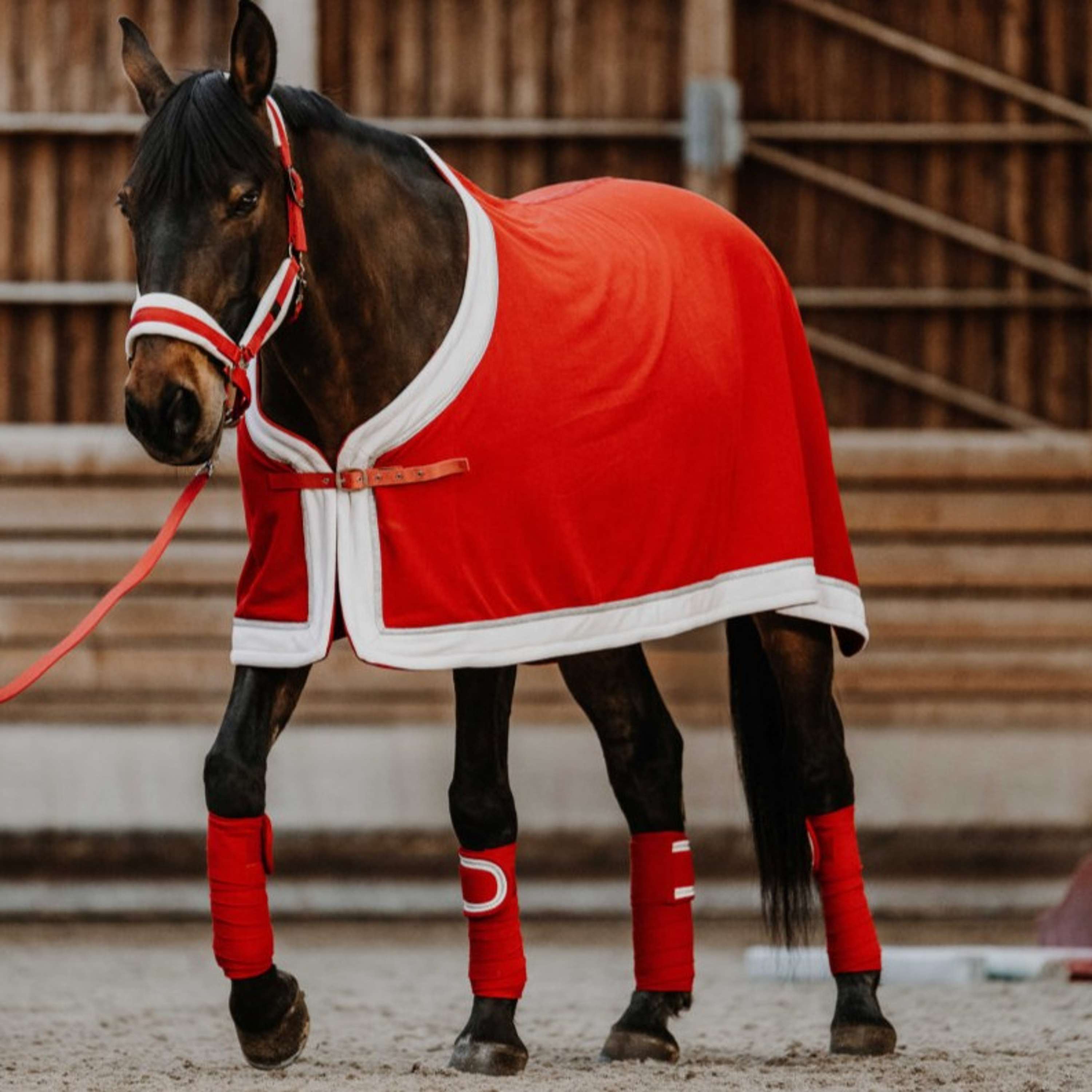 EQUITHÈME Bende Natale Rosso