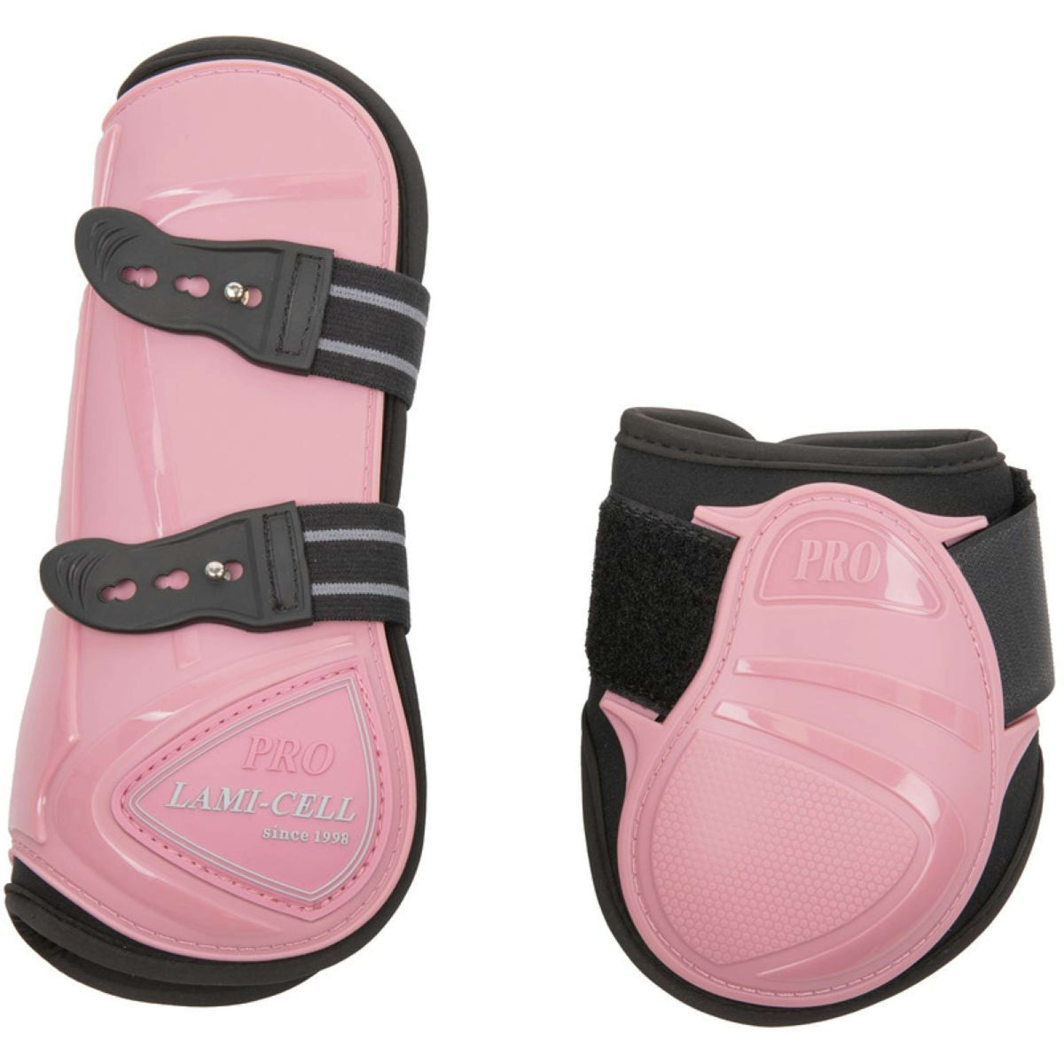 Lami-Cell Paratendini e Paraglomi Rosa